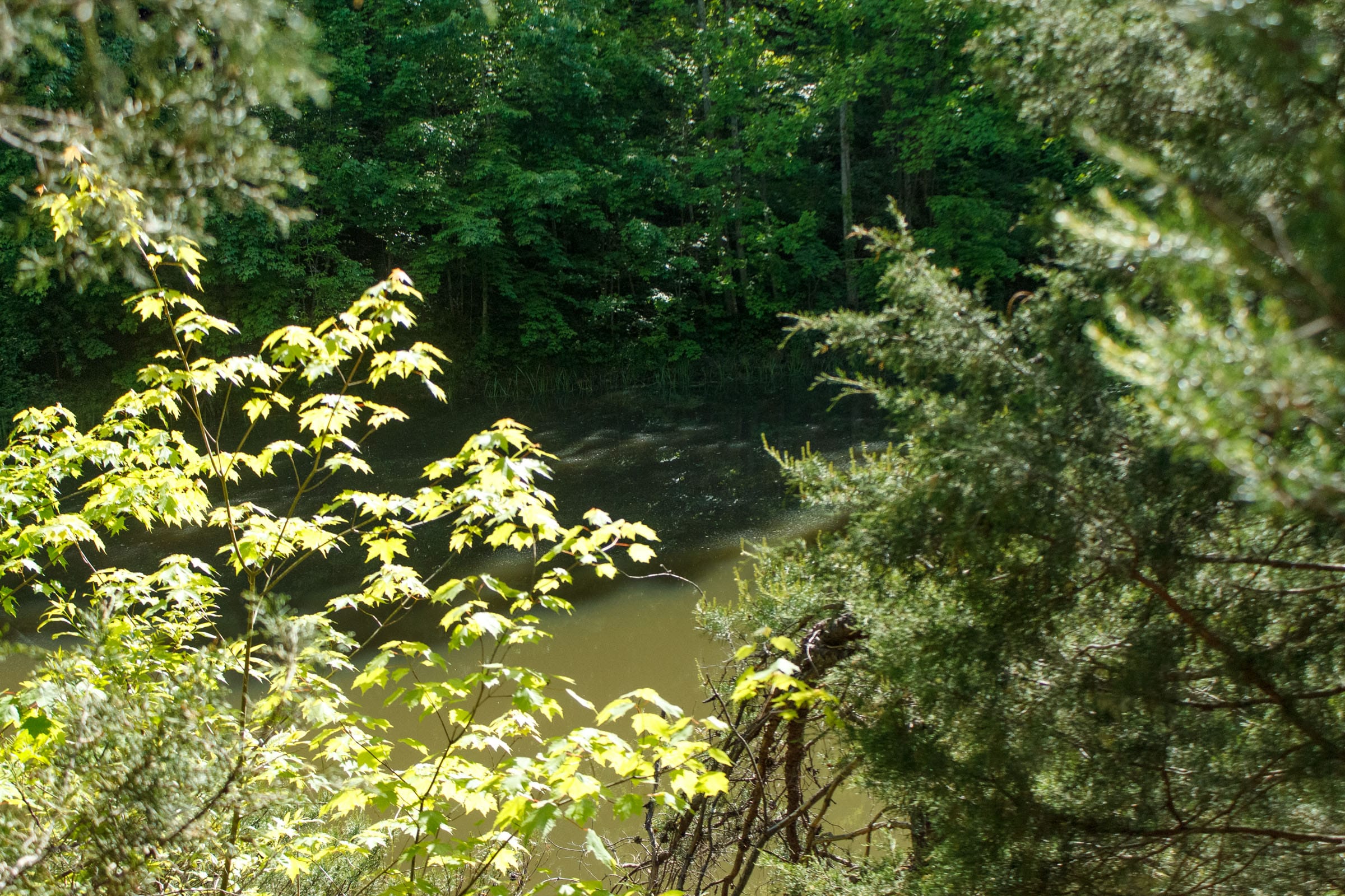 Riverbend Tract 17 photo 26