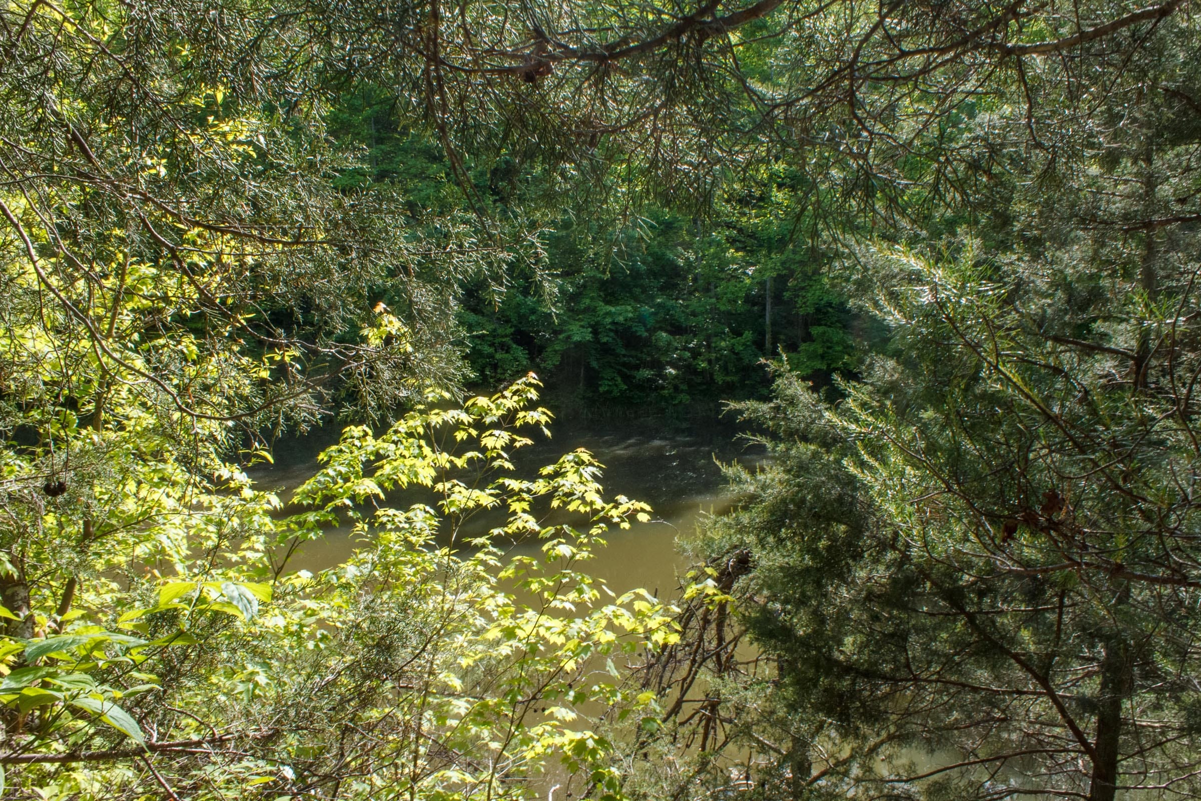 Riverbend Tract 17 photo 27