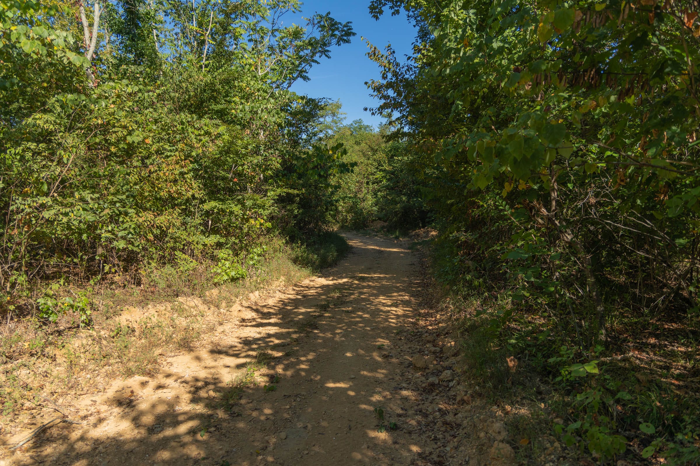 Big White Oak Tract 107 photo 1
