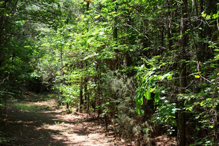 Bluebird Ranch Tract 6 photo 4