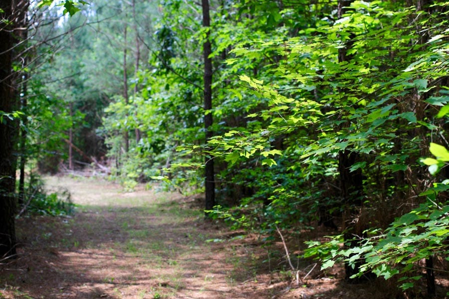 Bluebird Ranch Tract 6 photo 9