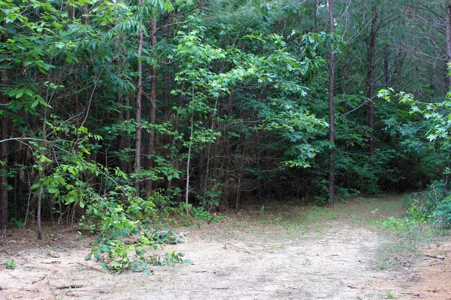 Bluebird Ranch Tract 6 photo 11