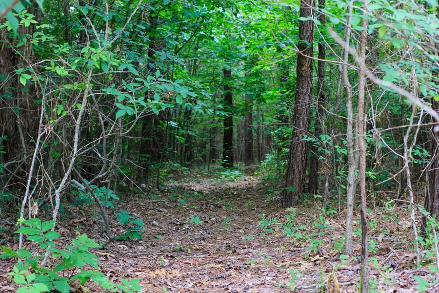 Bluebird Ranch Tract 6 photo 12