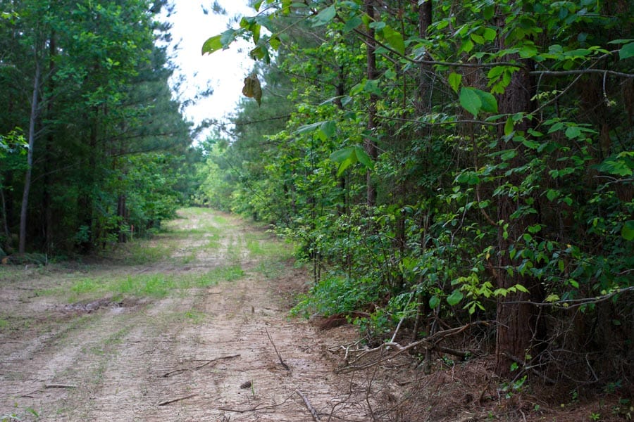 Bluebird Ranch Tract 6 photo 2
