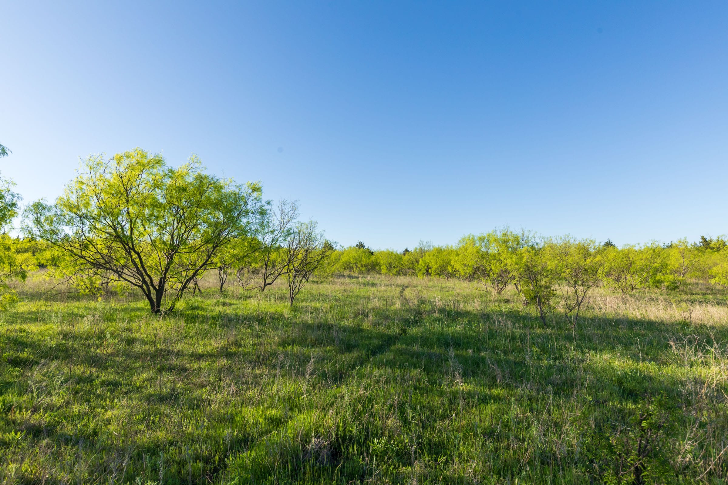 Hackberry Fields Tract 17 photo 8