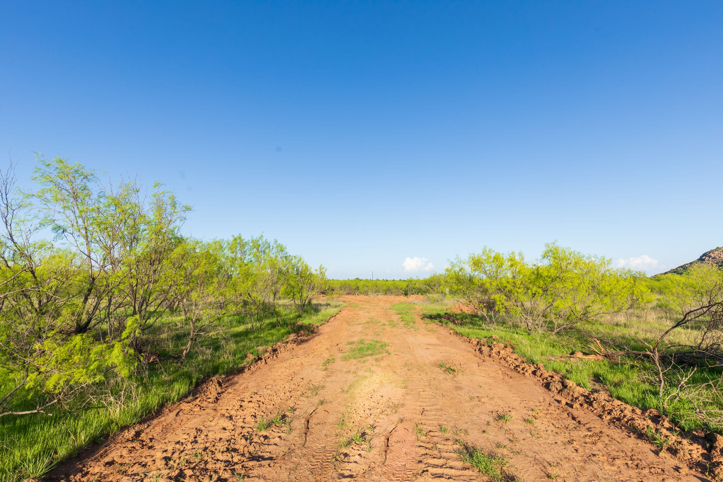 Hackberry Fields Tract 17 photo 3