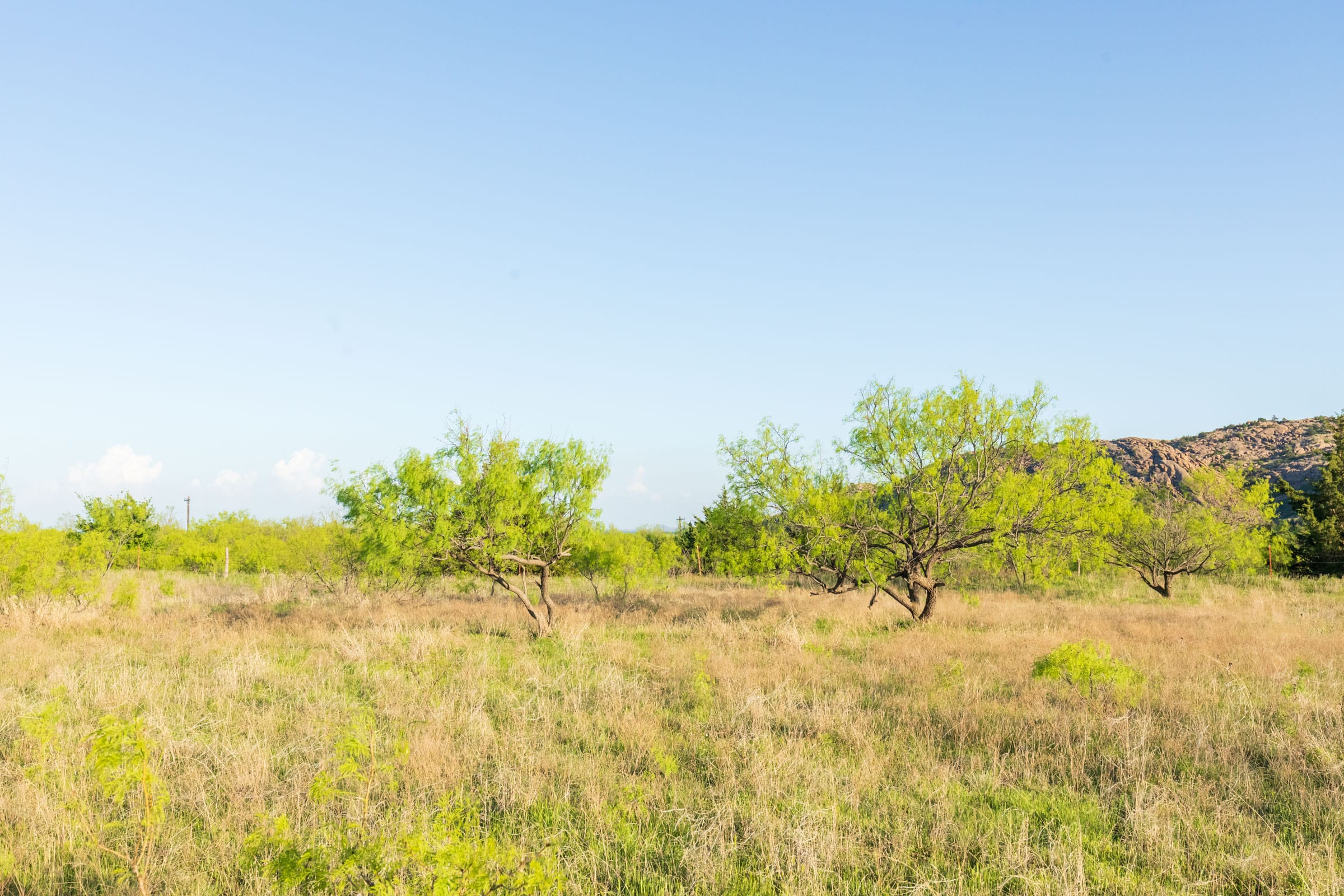 Hackberry Fields Tract 17 photo 11