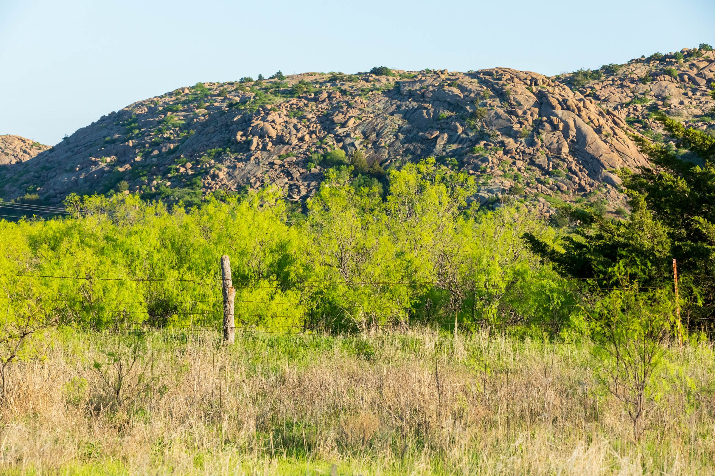 Hackberry Fields Tract 17 photo 4