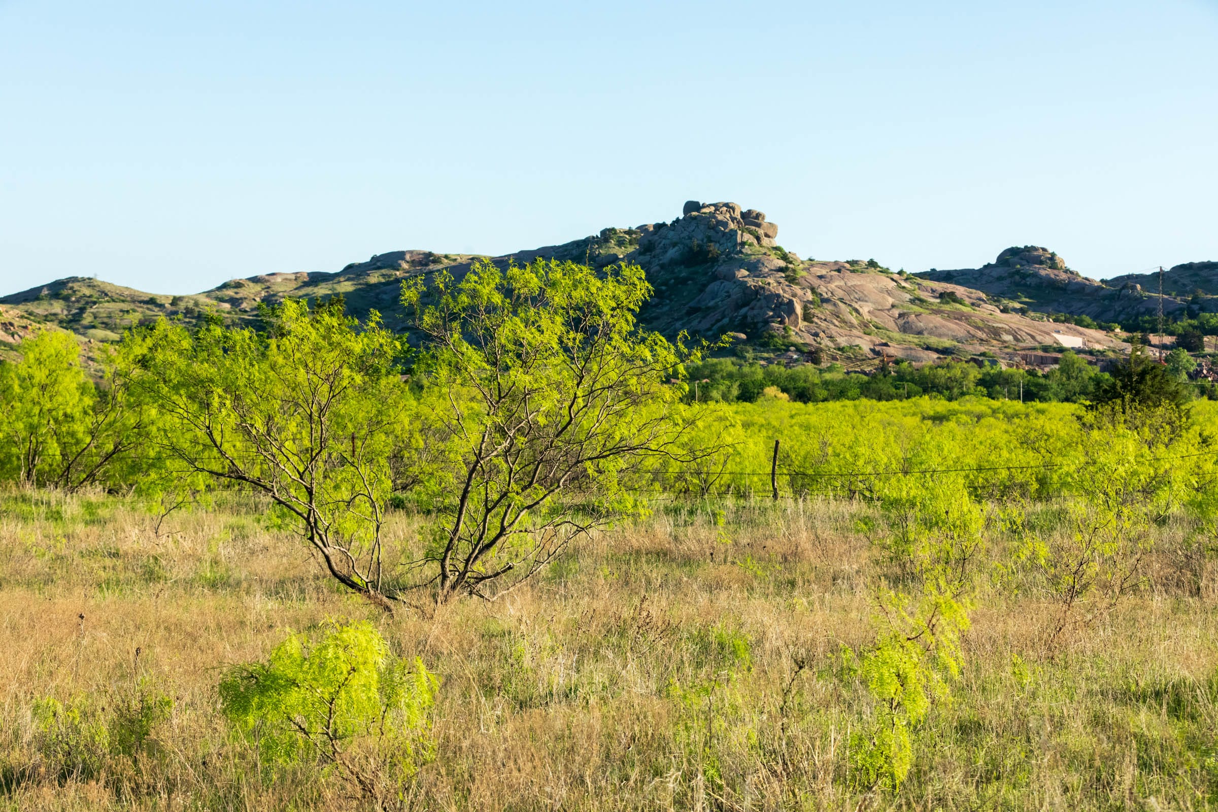Hackberry Fields Tract 17 photo 13