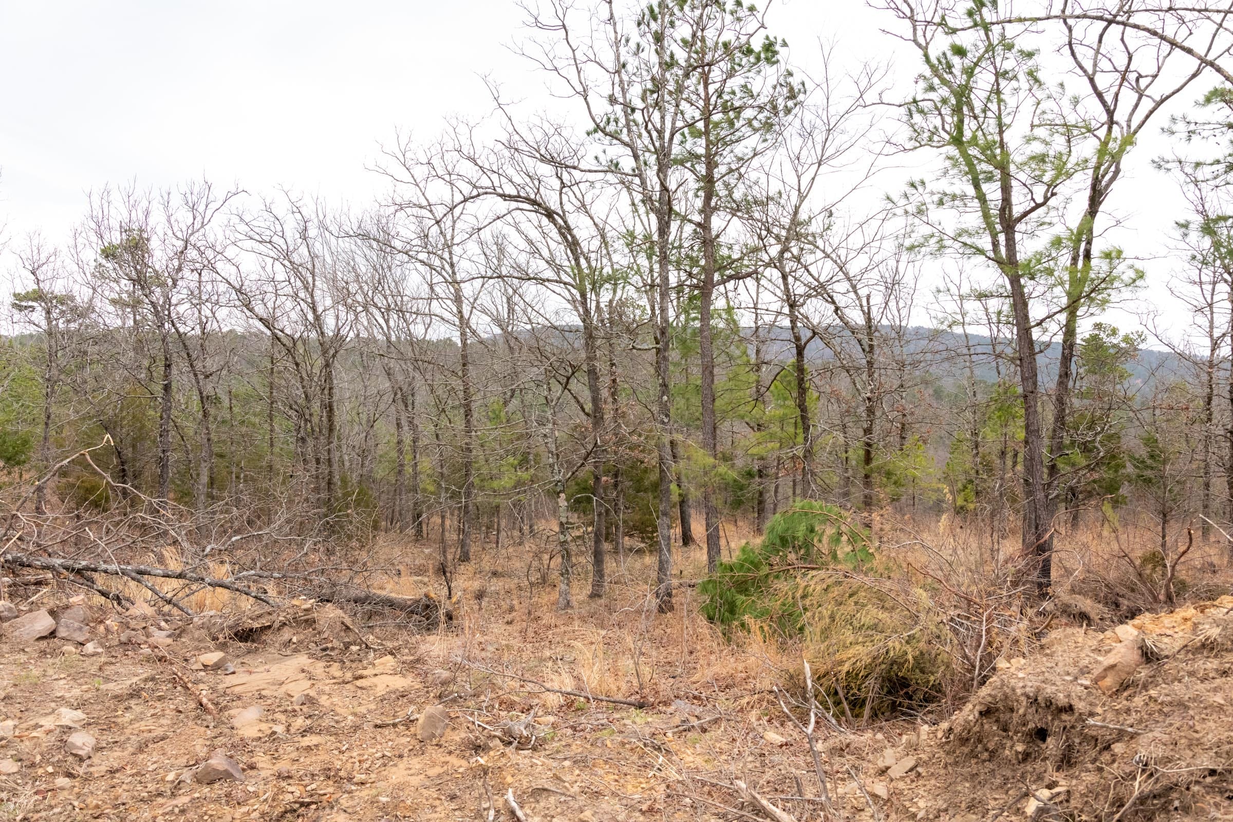 Stone Bridge Phase III Tract 201 photo 2