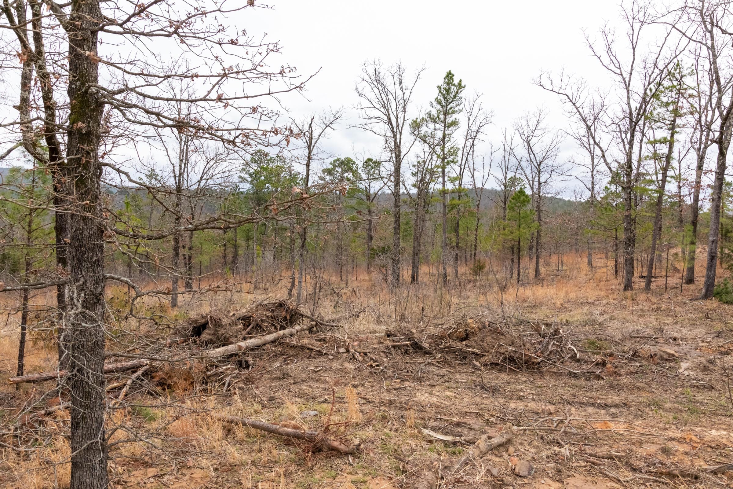 Stone Bridge Phase III Tract 201 photo 4