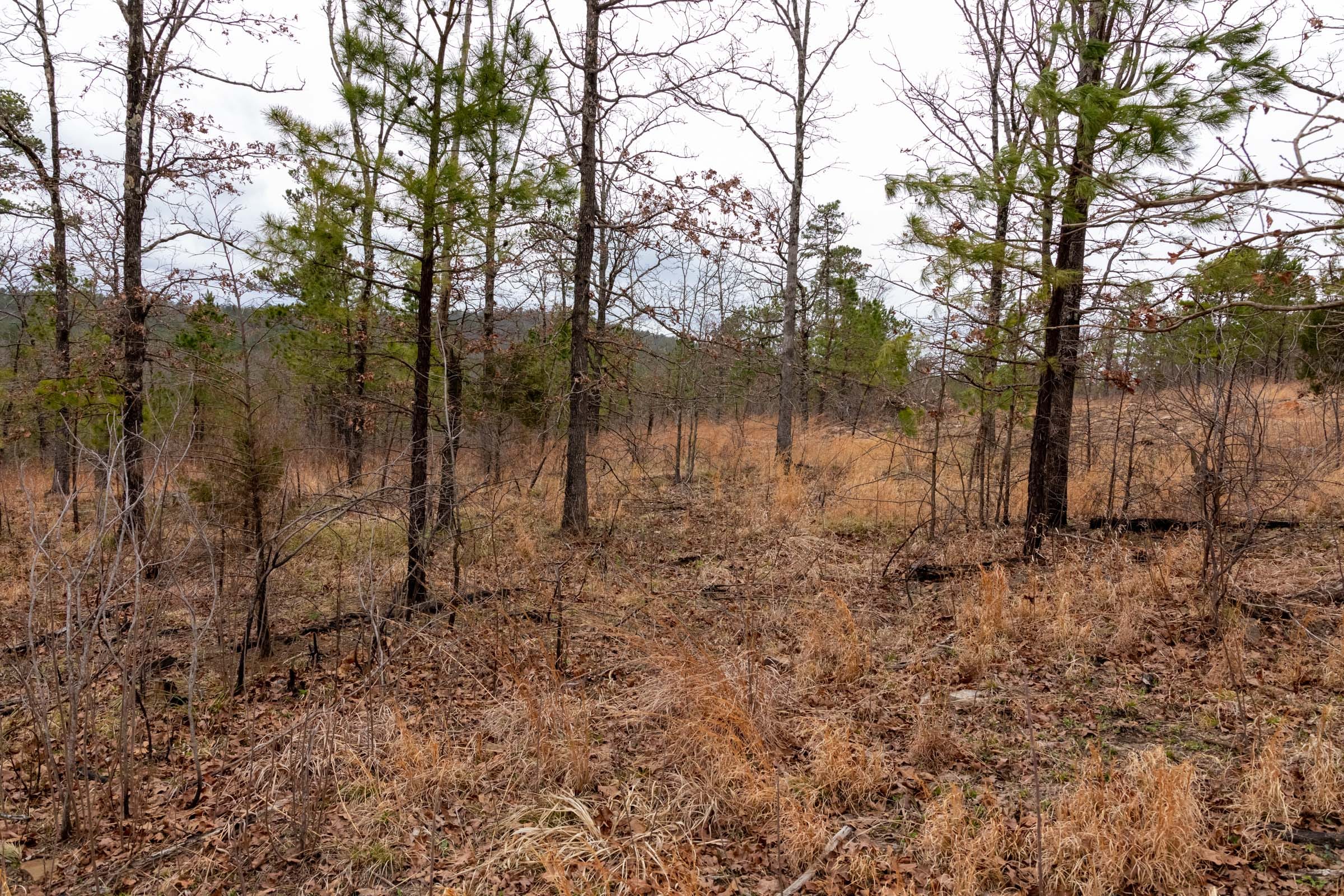 Stone Bridge Phase III Tract 201 photo 5