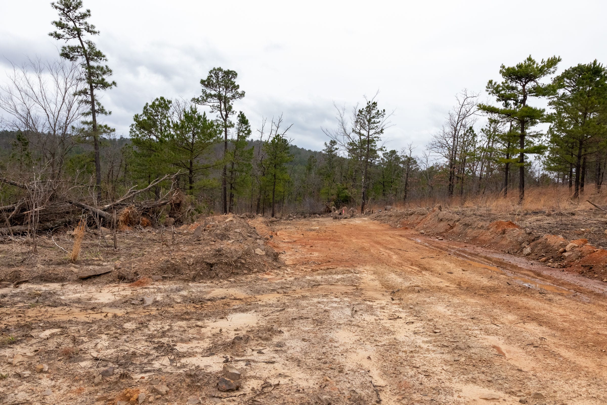 Stone Bridge Phase III Tract 201 photo 6