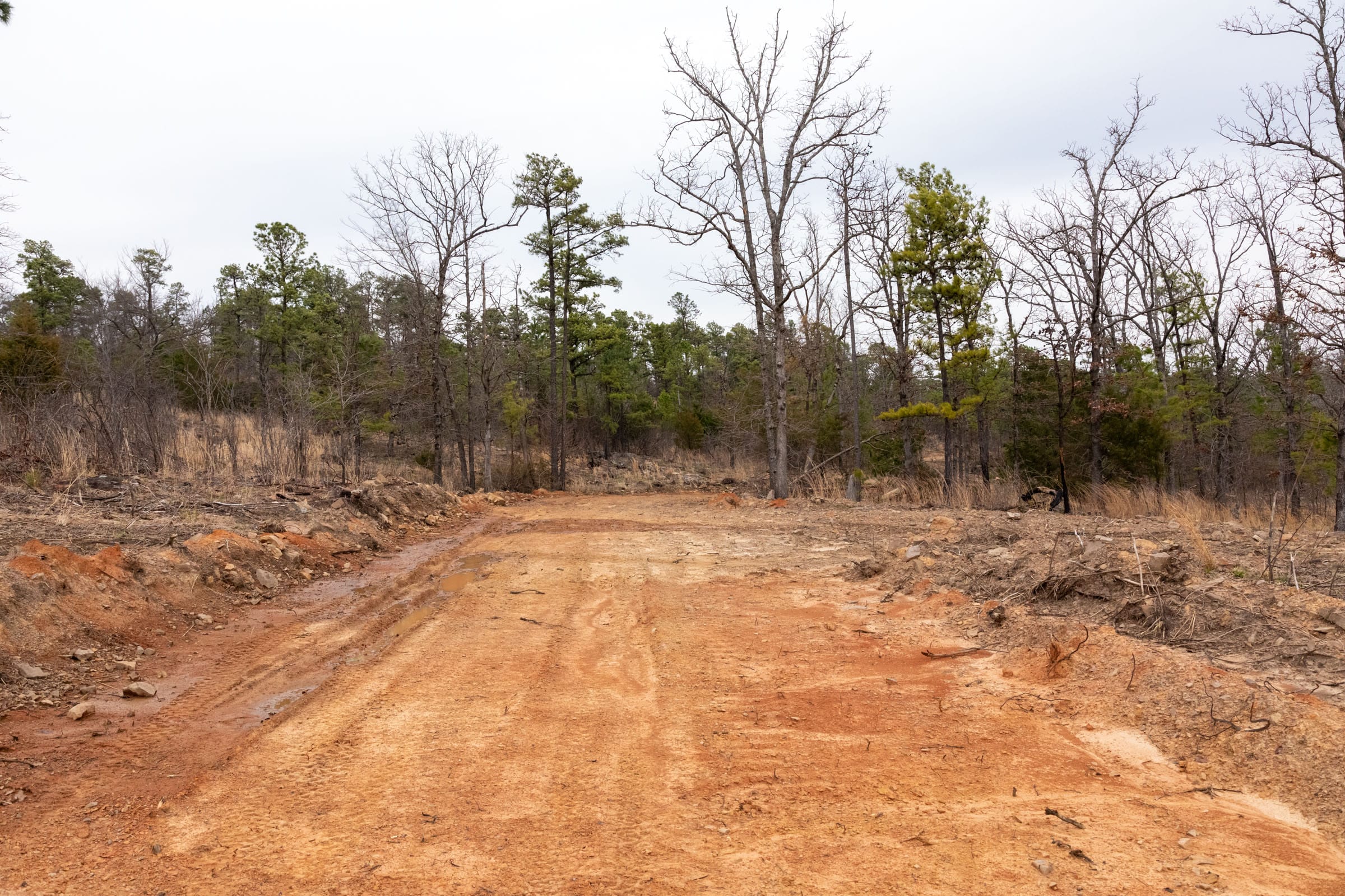 Stone Bridge Phase III Tract 201 photo 1