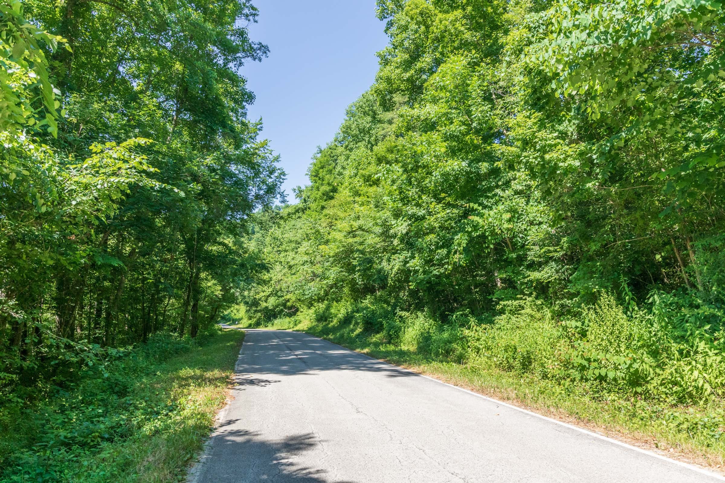 River’s Edge Tract 39 photo 1