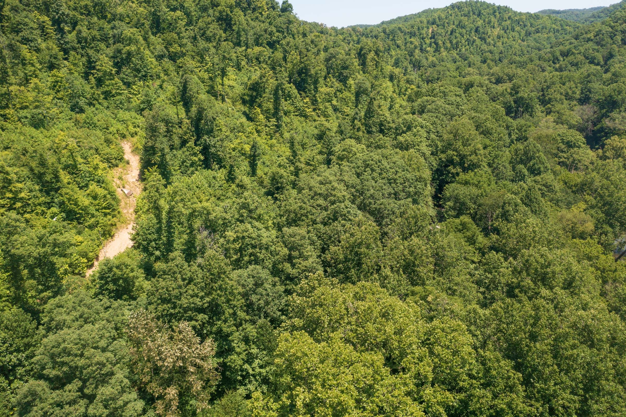 River’s Edge Tract 39 photo 12