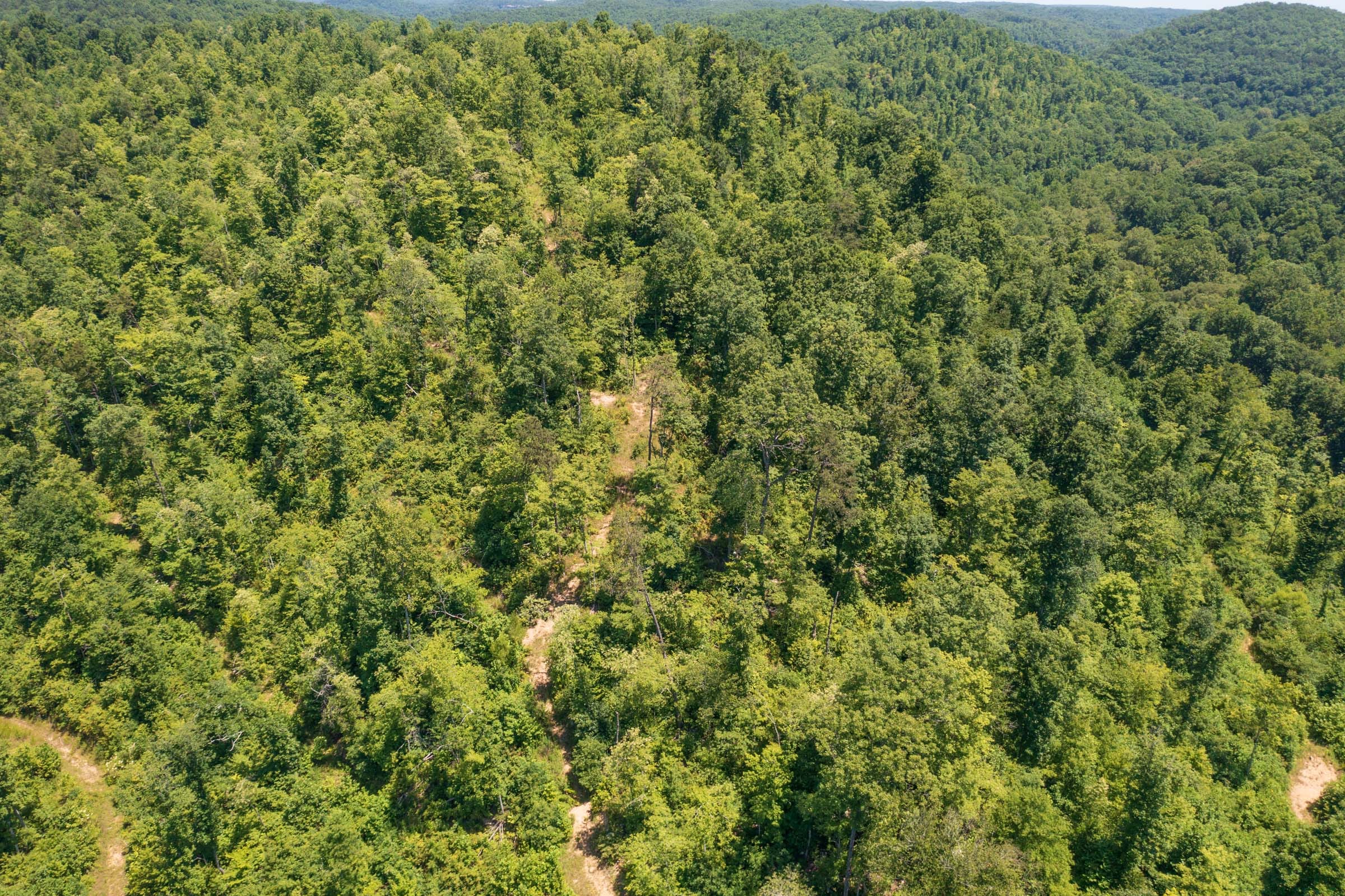 River’s Edge Tract 39 photo 13