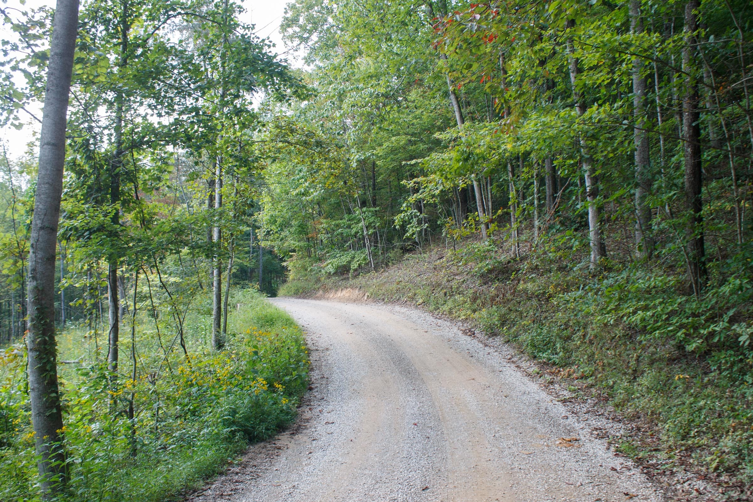 Wounded Oak Tract 17 photo 1