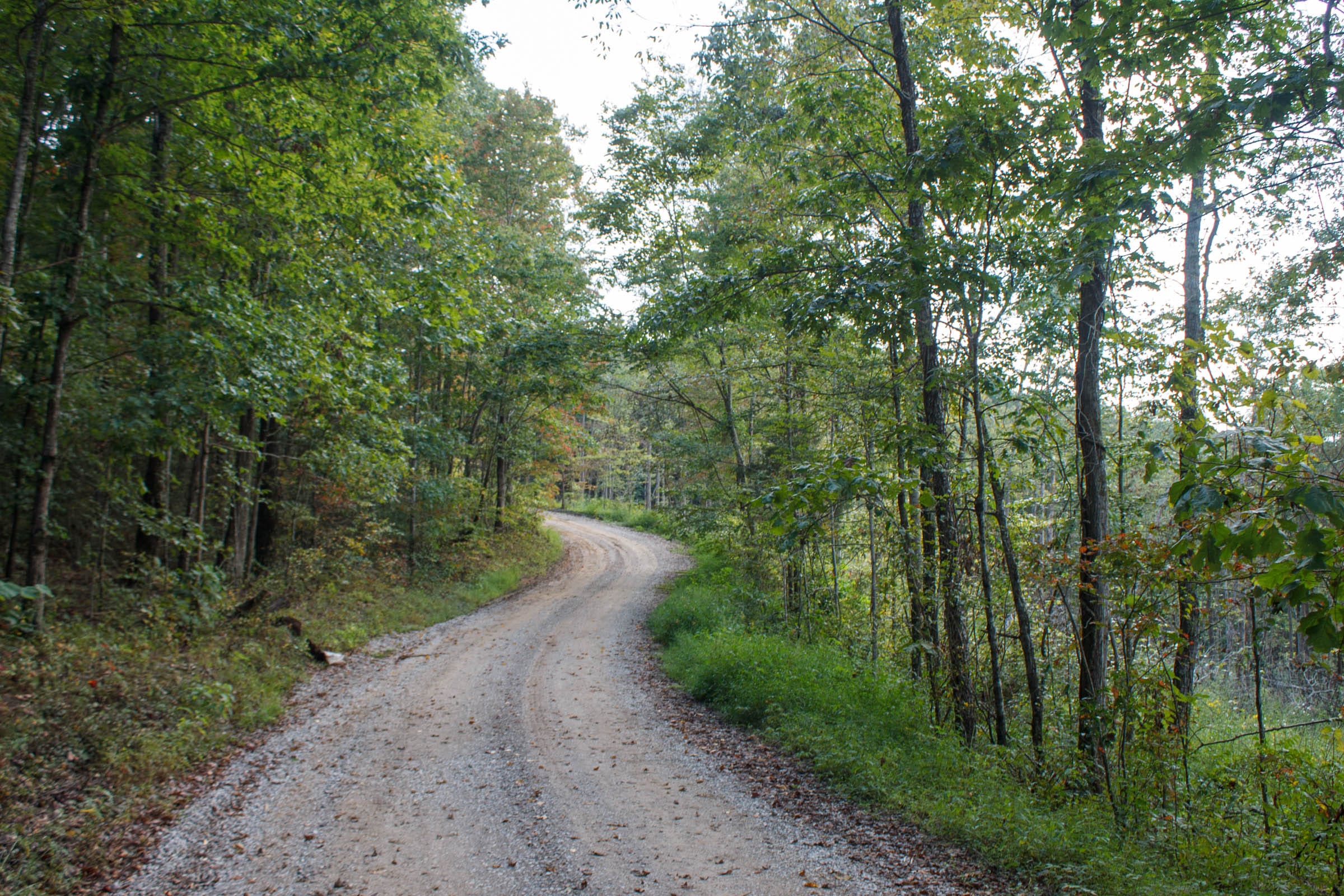 Wounded Oak Tract 17 photo 6