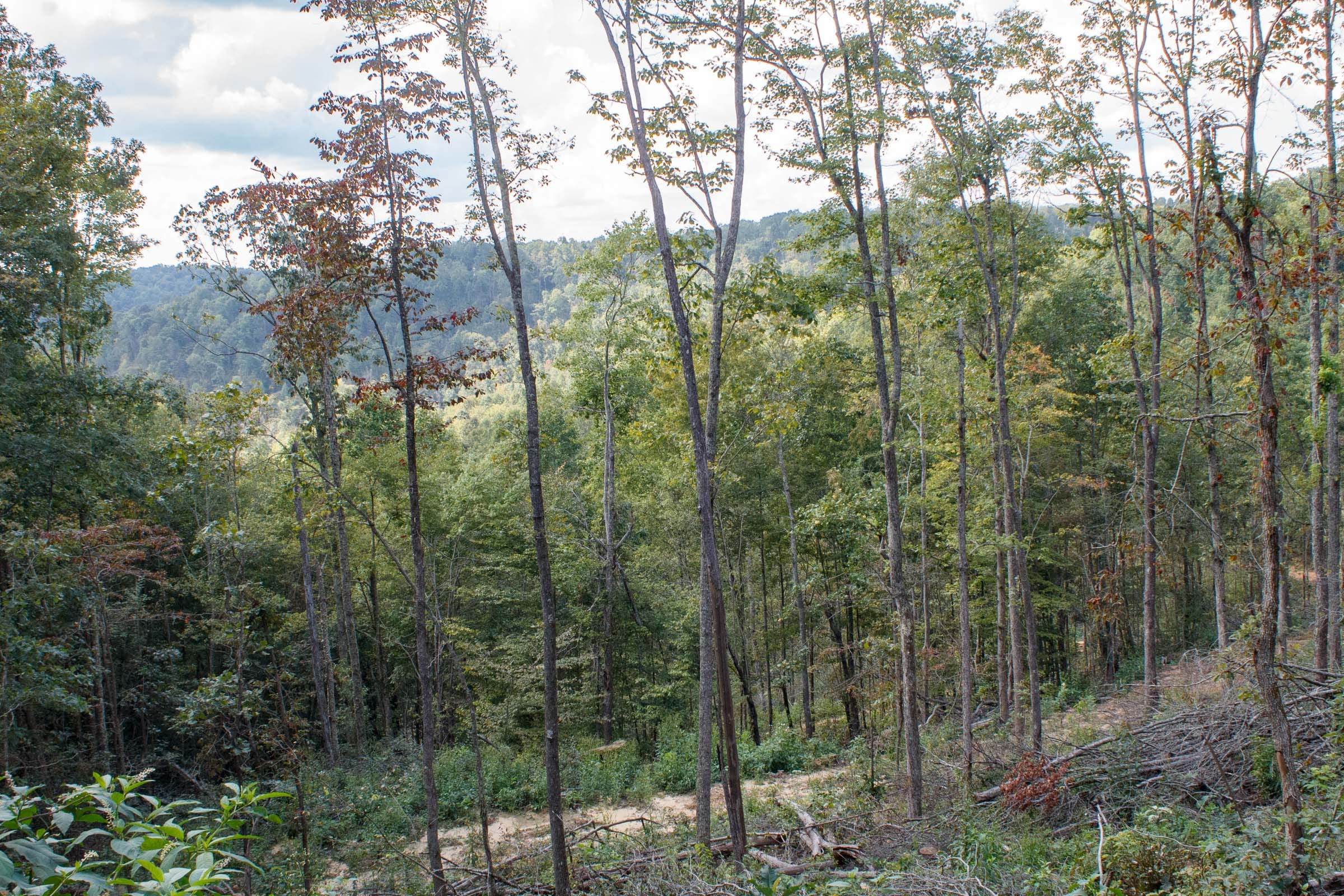 Wounded Oak Tract 17 photo 13