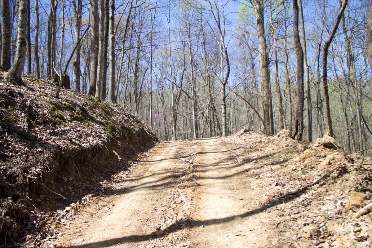 Chestnut Oak Ridge Tract 2 photo 2