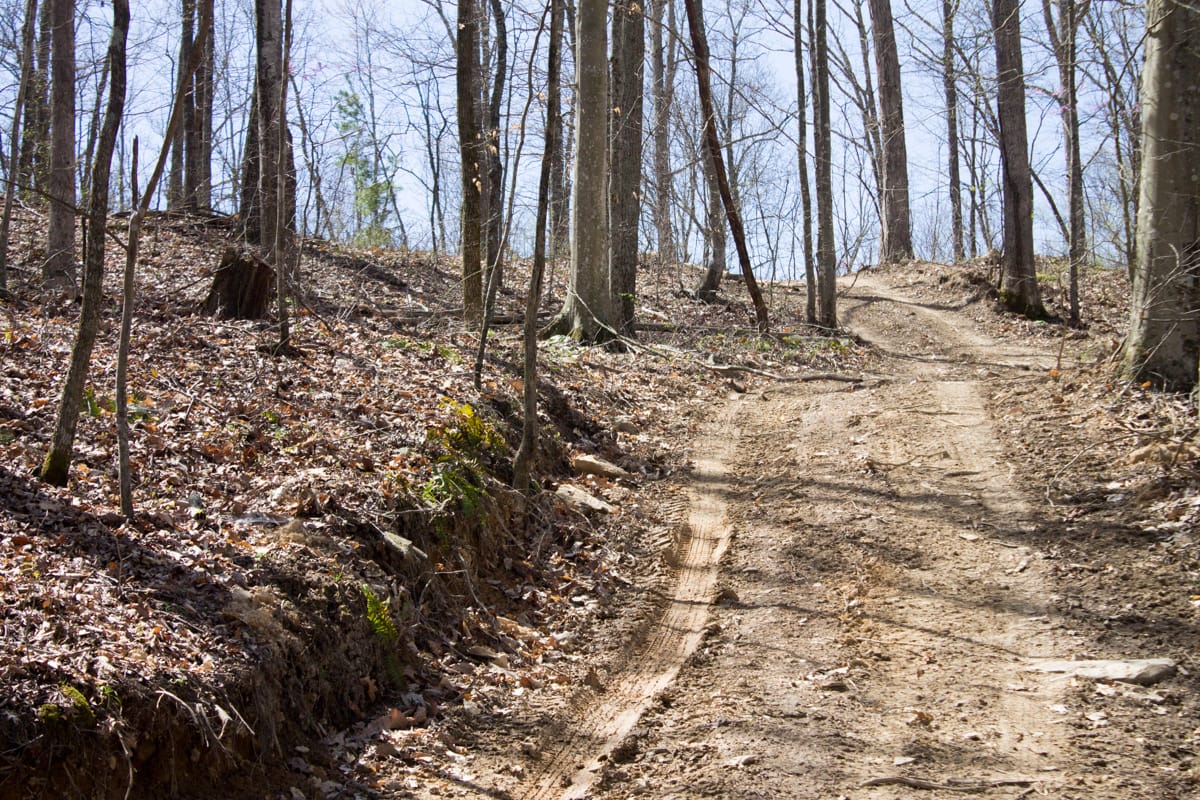 Chestnut Oak Ridge Tract 2 photo 14