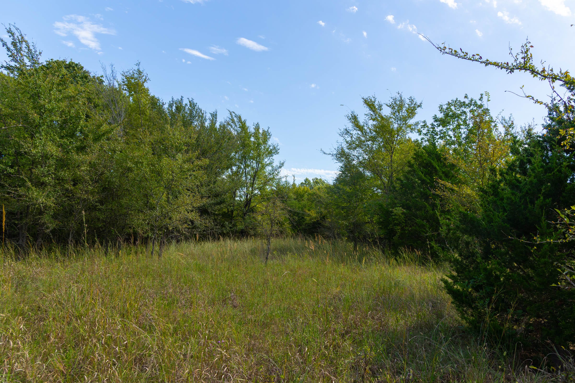 Reserves At Cattail Cove Phase II Tract 84 photo 14