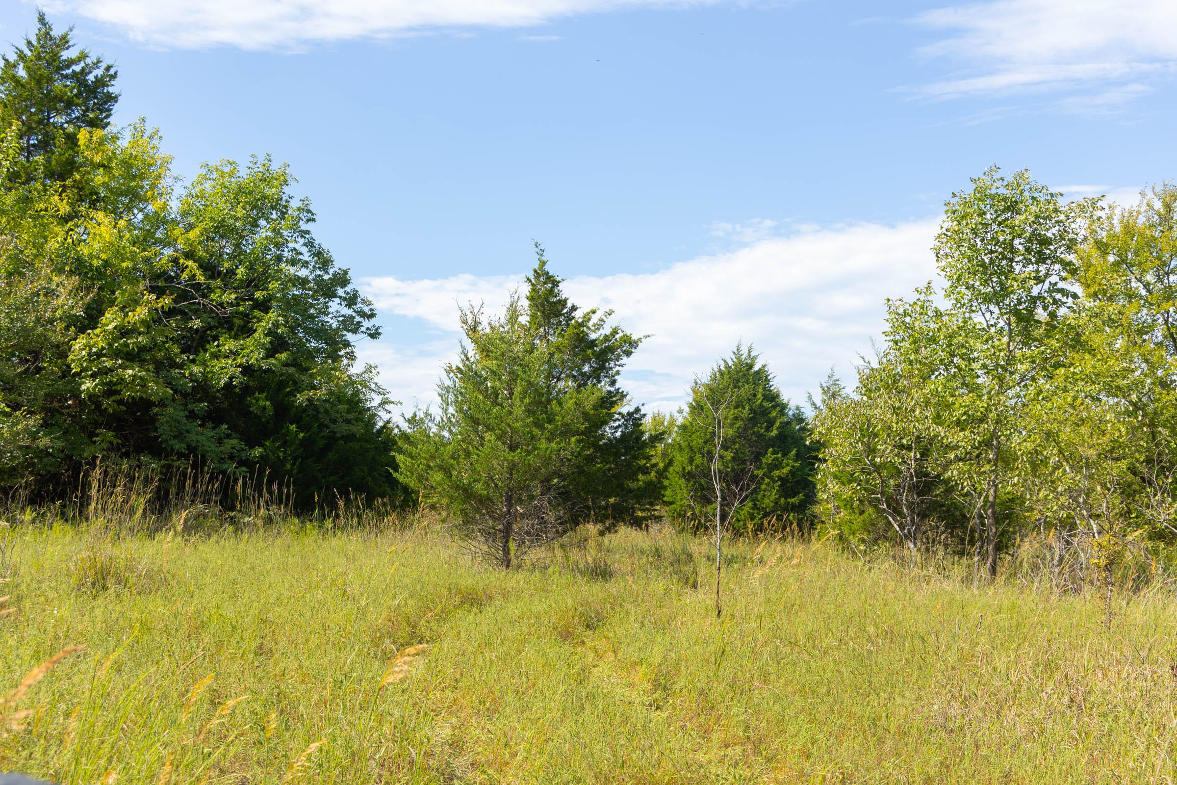 Reserves At Cattail Cove Phase II Tract 84 photo 13