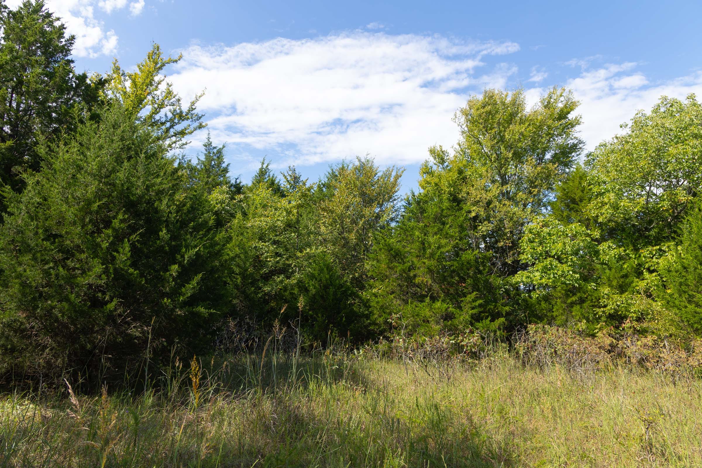 Reserves At Cattail Cove Phase II Tract 84 photo 12