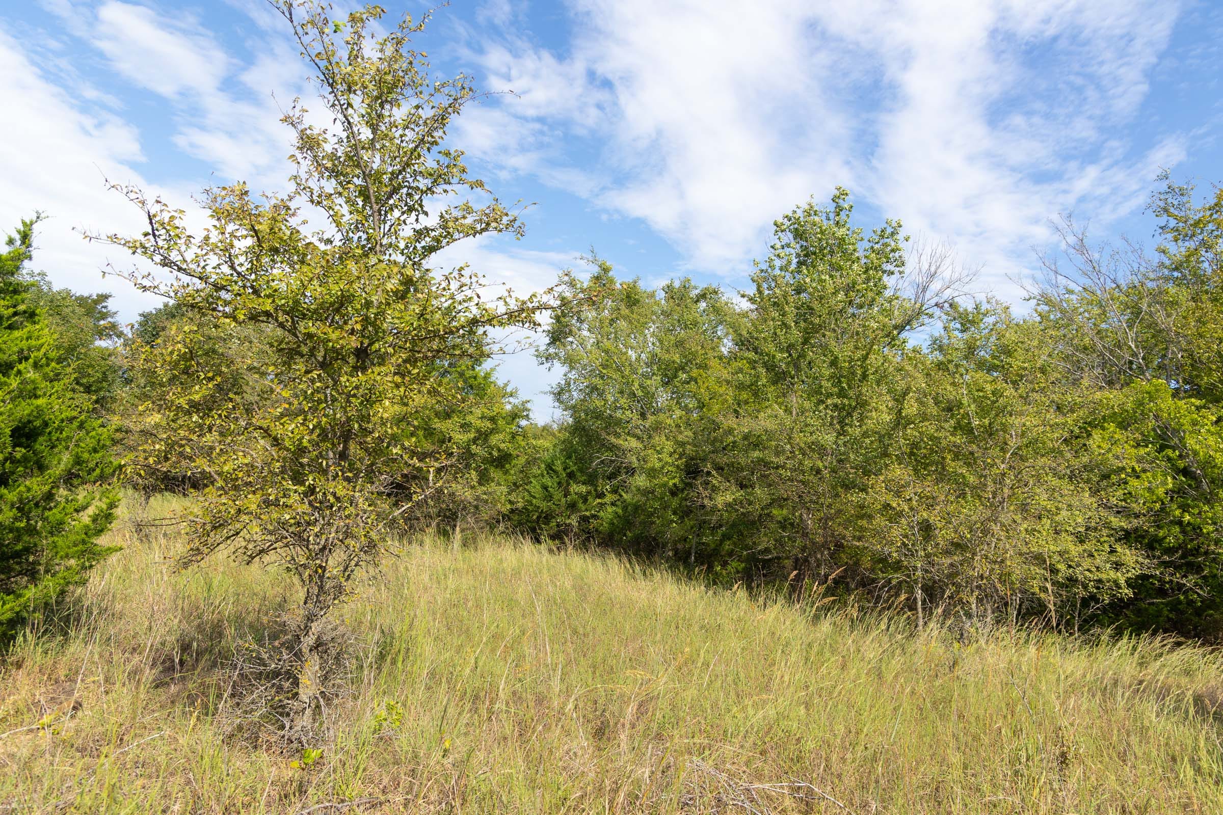 Reserves At Cattail Cove Phase II Tract 84 photo 11