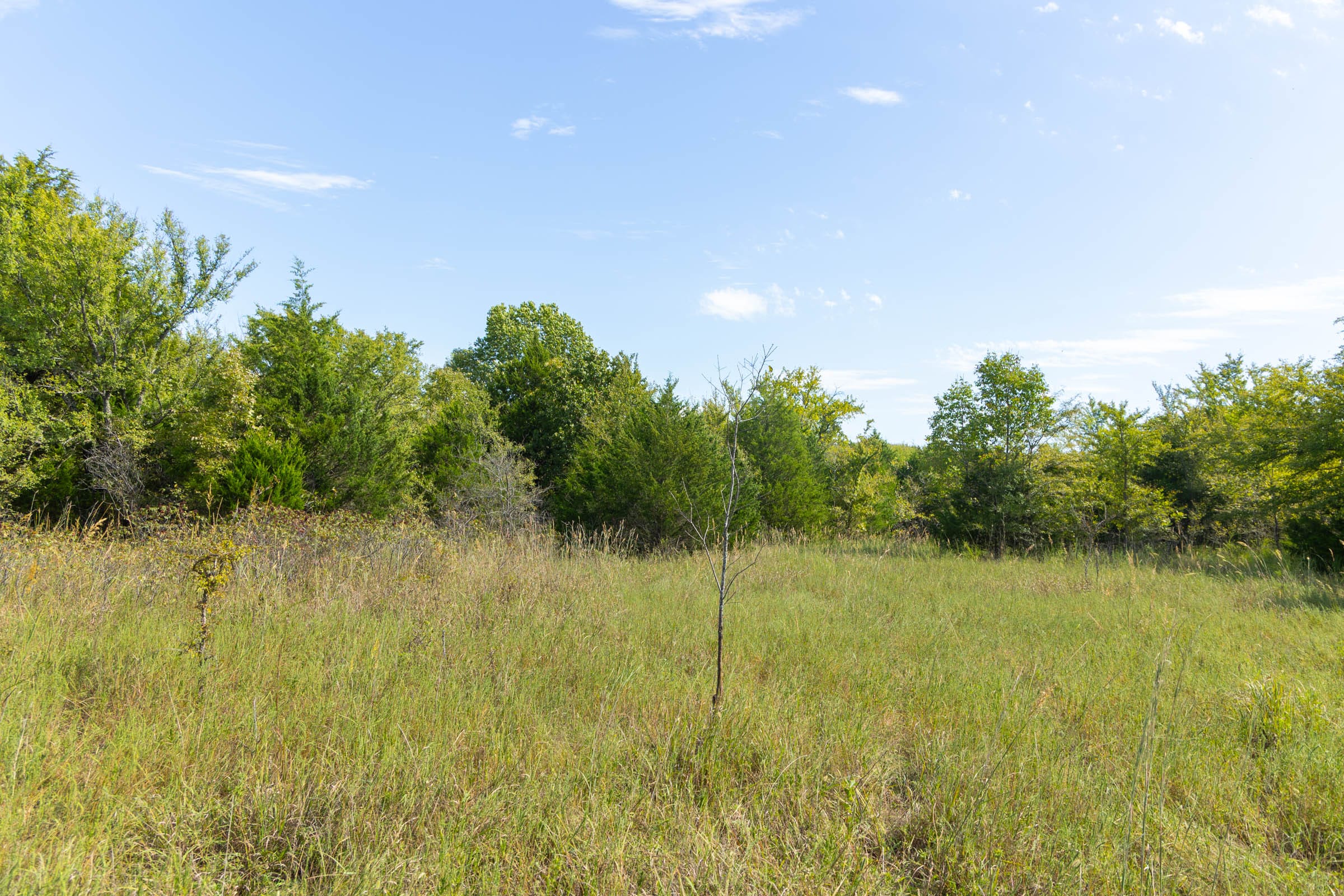 Reserves At Cattail Cove Phase II Tract 84 photo 10
