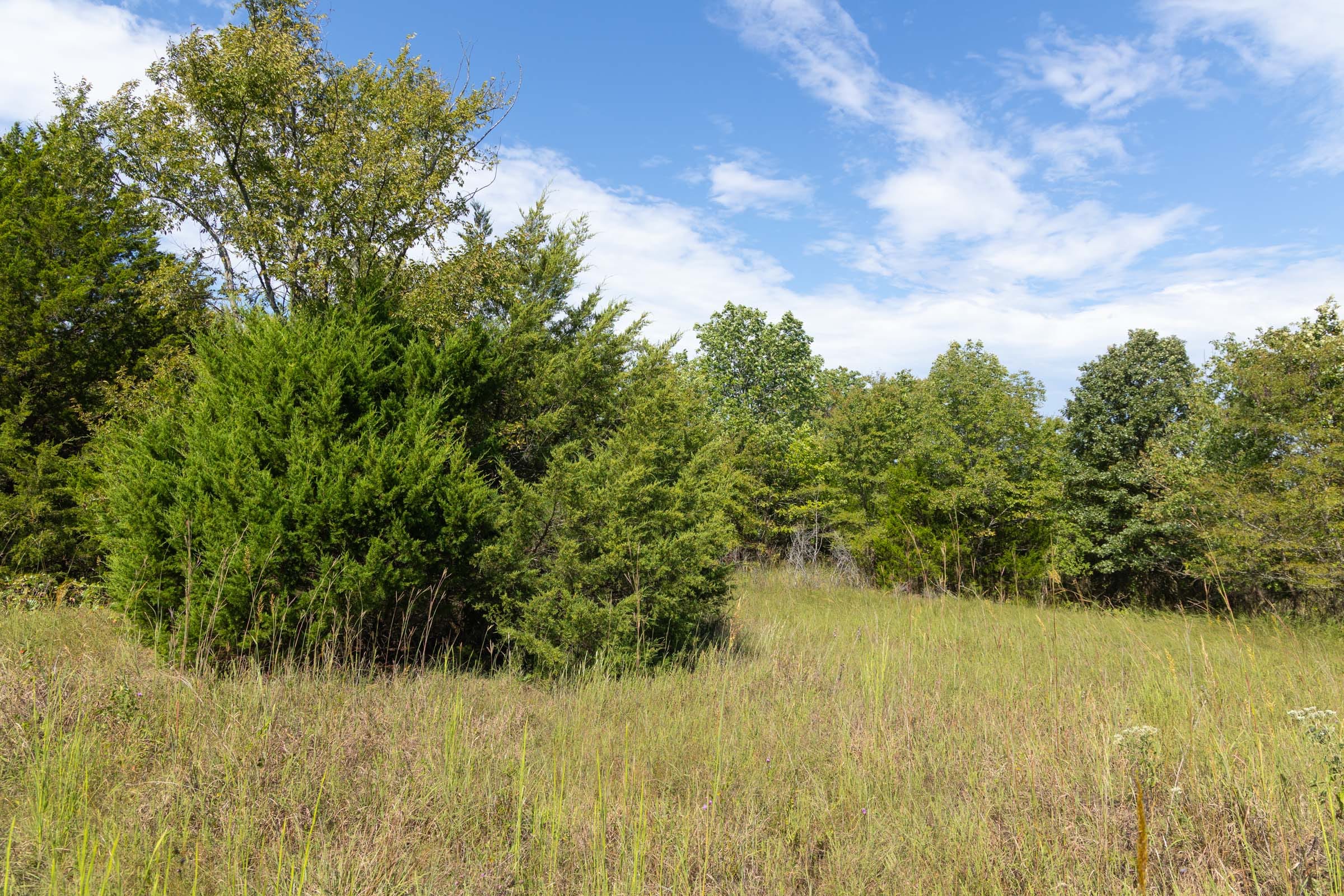 Reserves At Cattail Cove Phase II Tract 84 photo 9