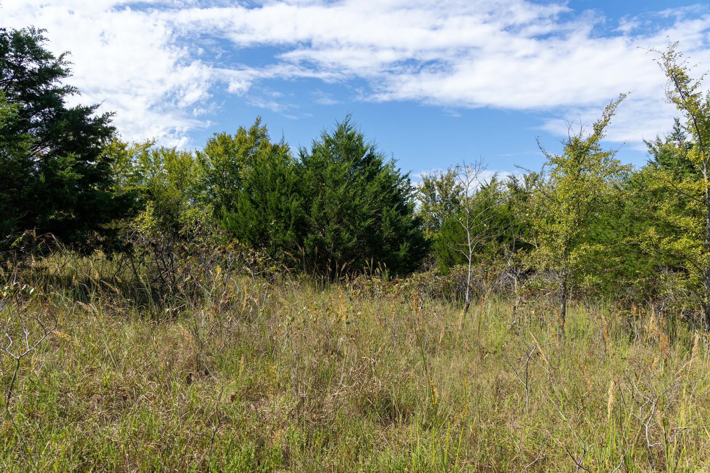 Reserves At Cattail Cove Phase II Tract 84 photo 8