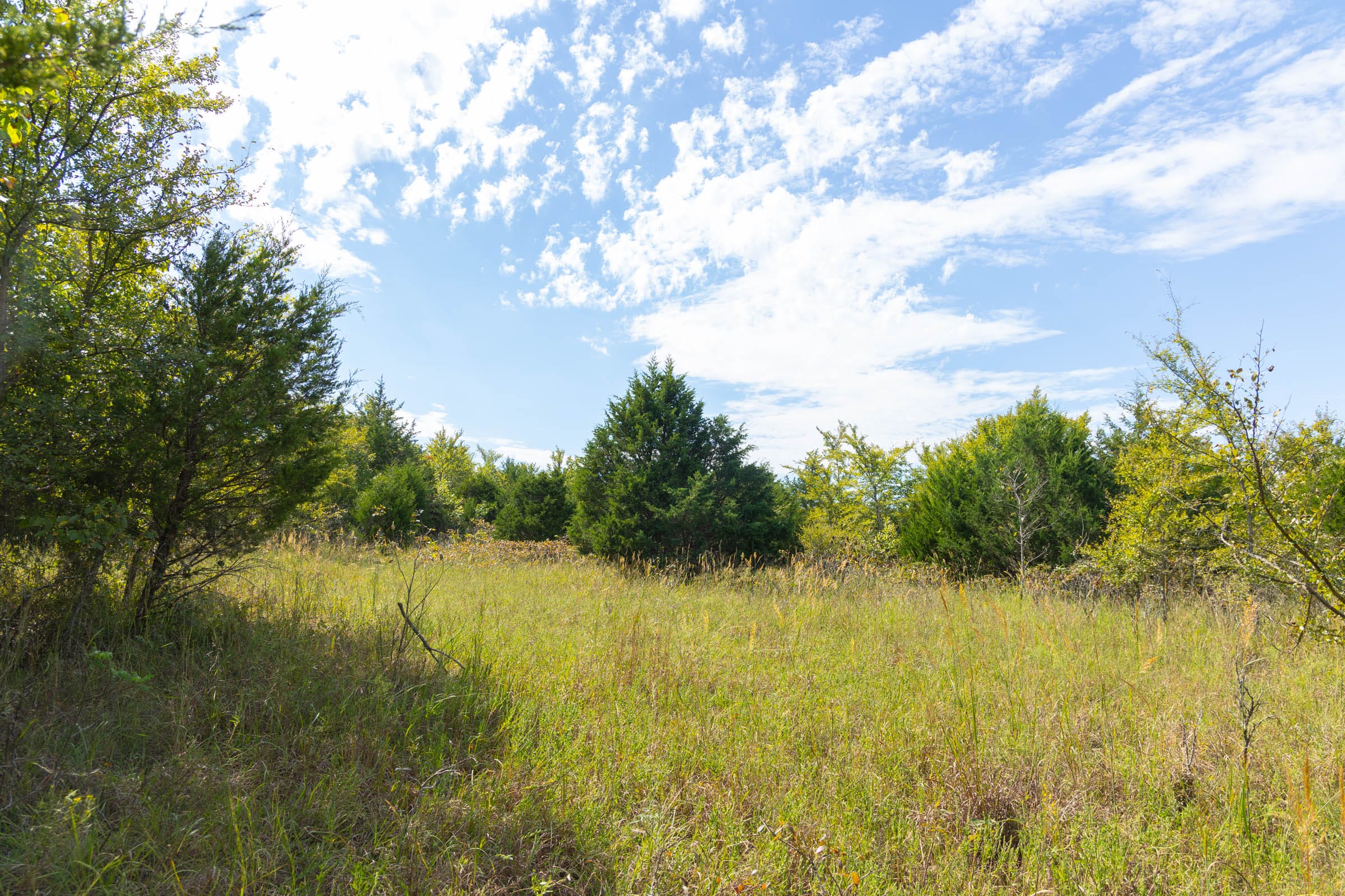 Reserves At Cattail Cove Phase II Tract 84 photo 7