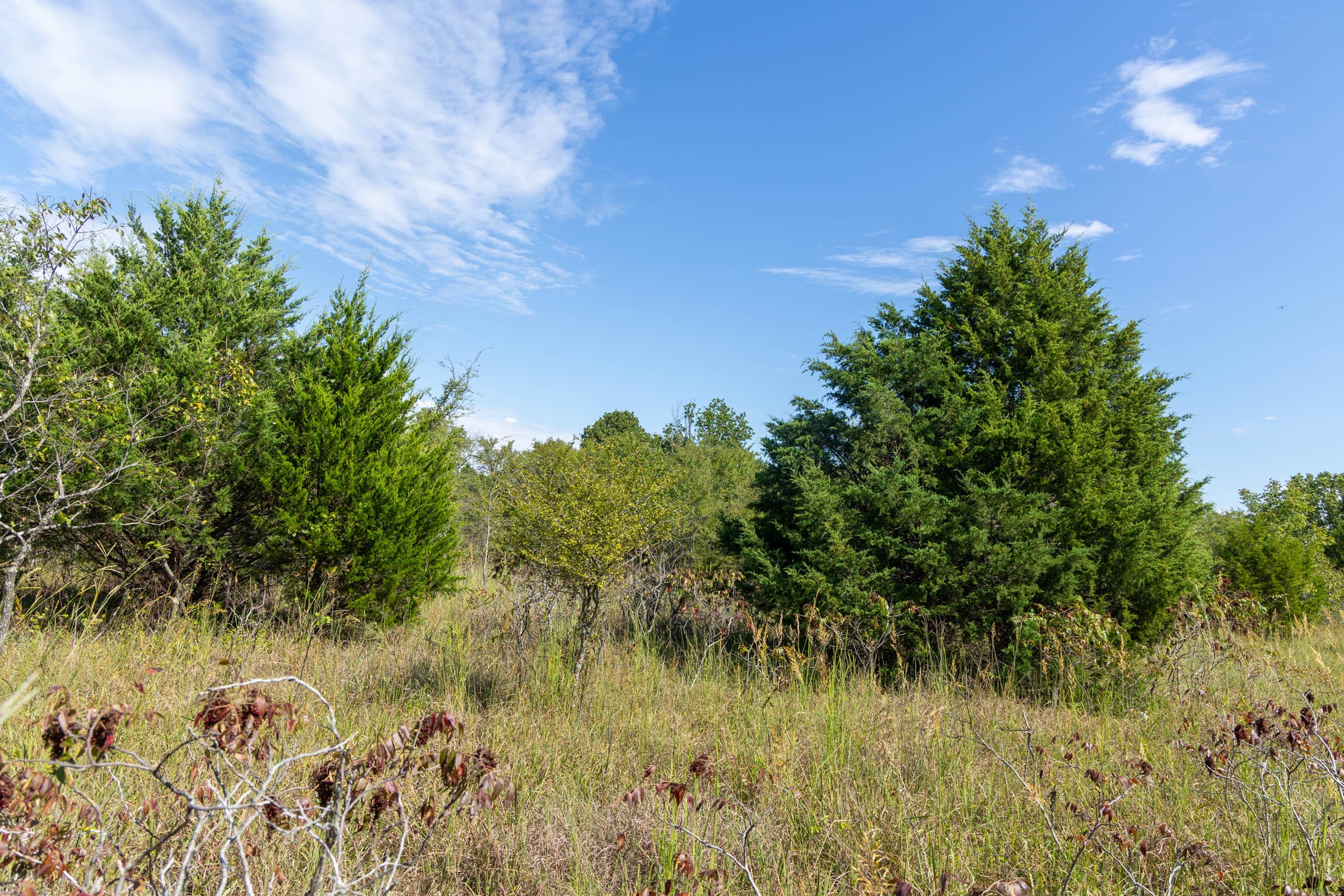 Reserves At Cattail Cove Phase II Tract 84 photo 6