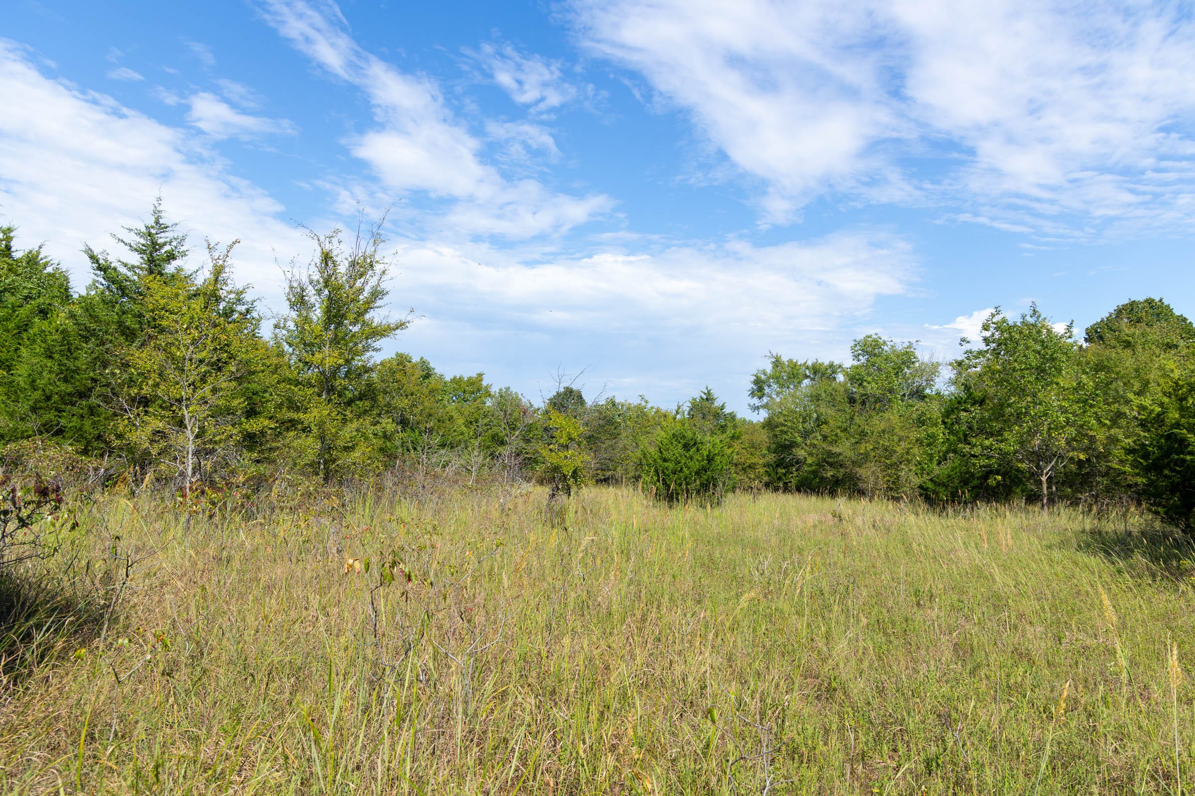Reserves At Cattail Cove Phase II Tract 84 photo 3