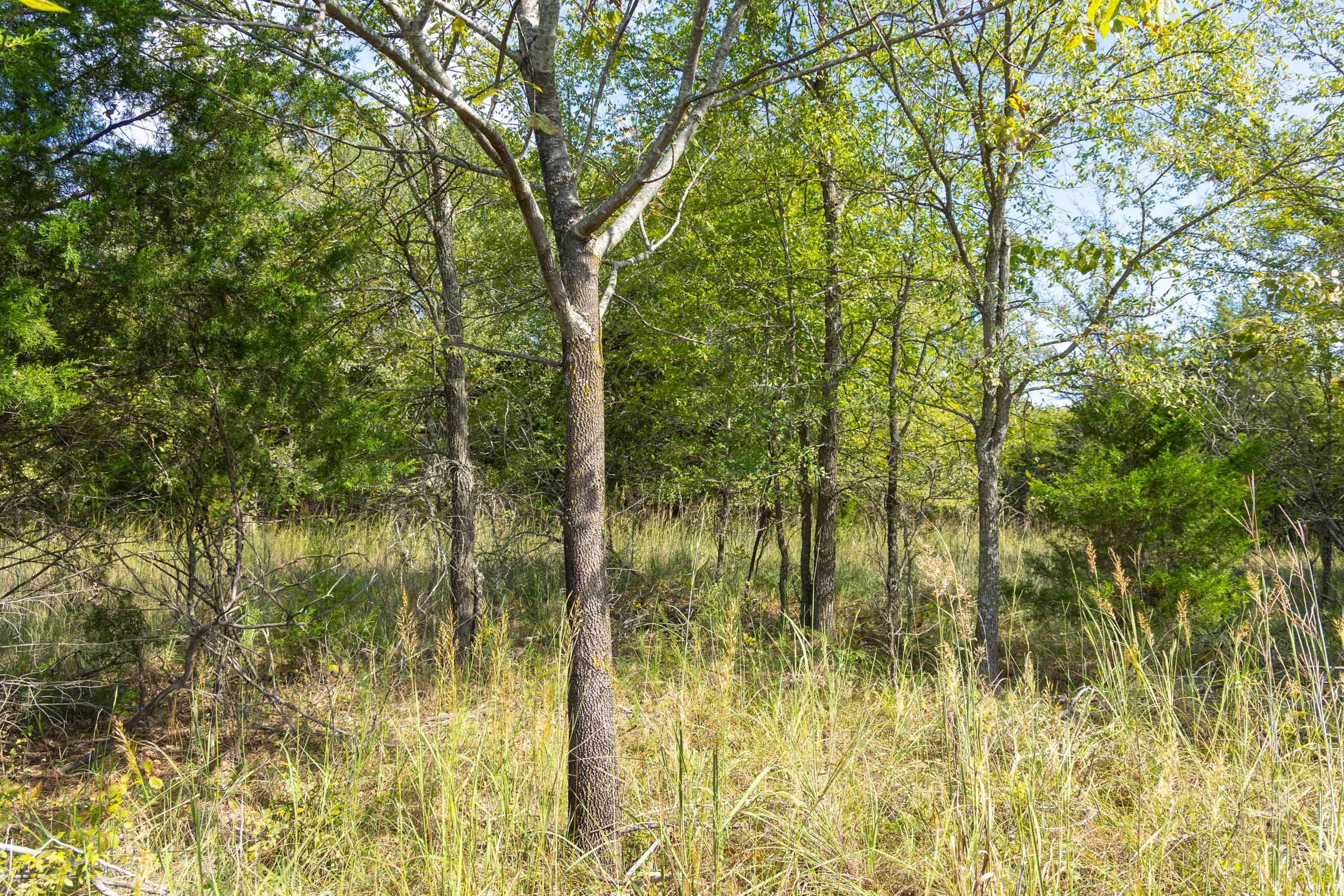 Reserves At Cattail Cove Phase II Tract 84 photo 4