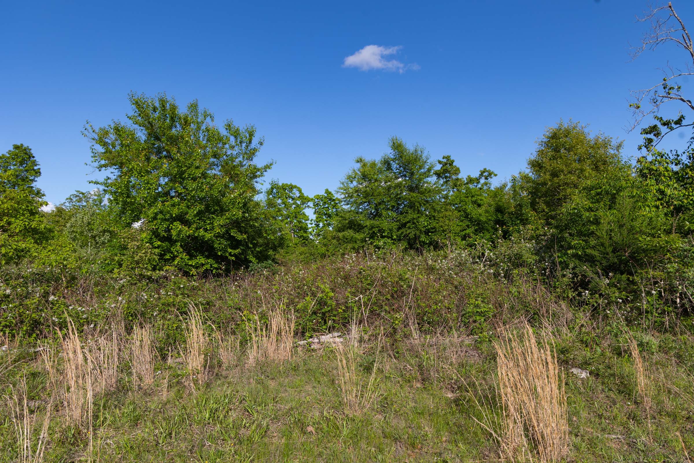 Sleepy Hollow Phase II Tract 61 photo 14
