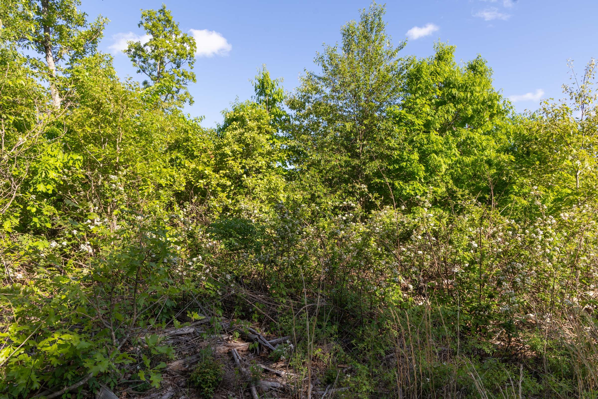 Sleepy Hollow Phase II Tract 60 photo 5