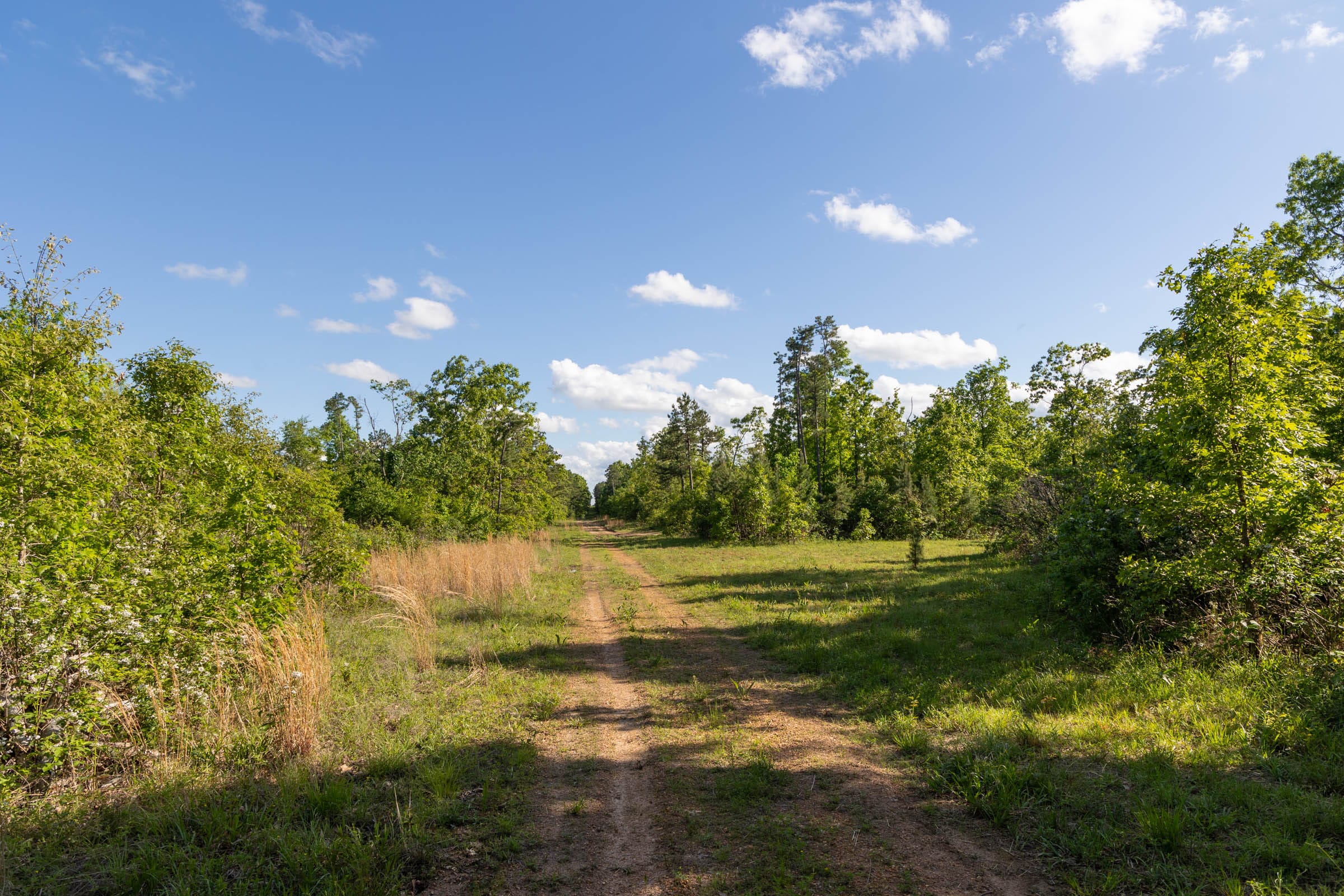 Sleepy Hollow Phase II Tract 61 photo 7