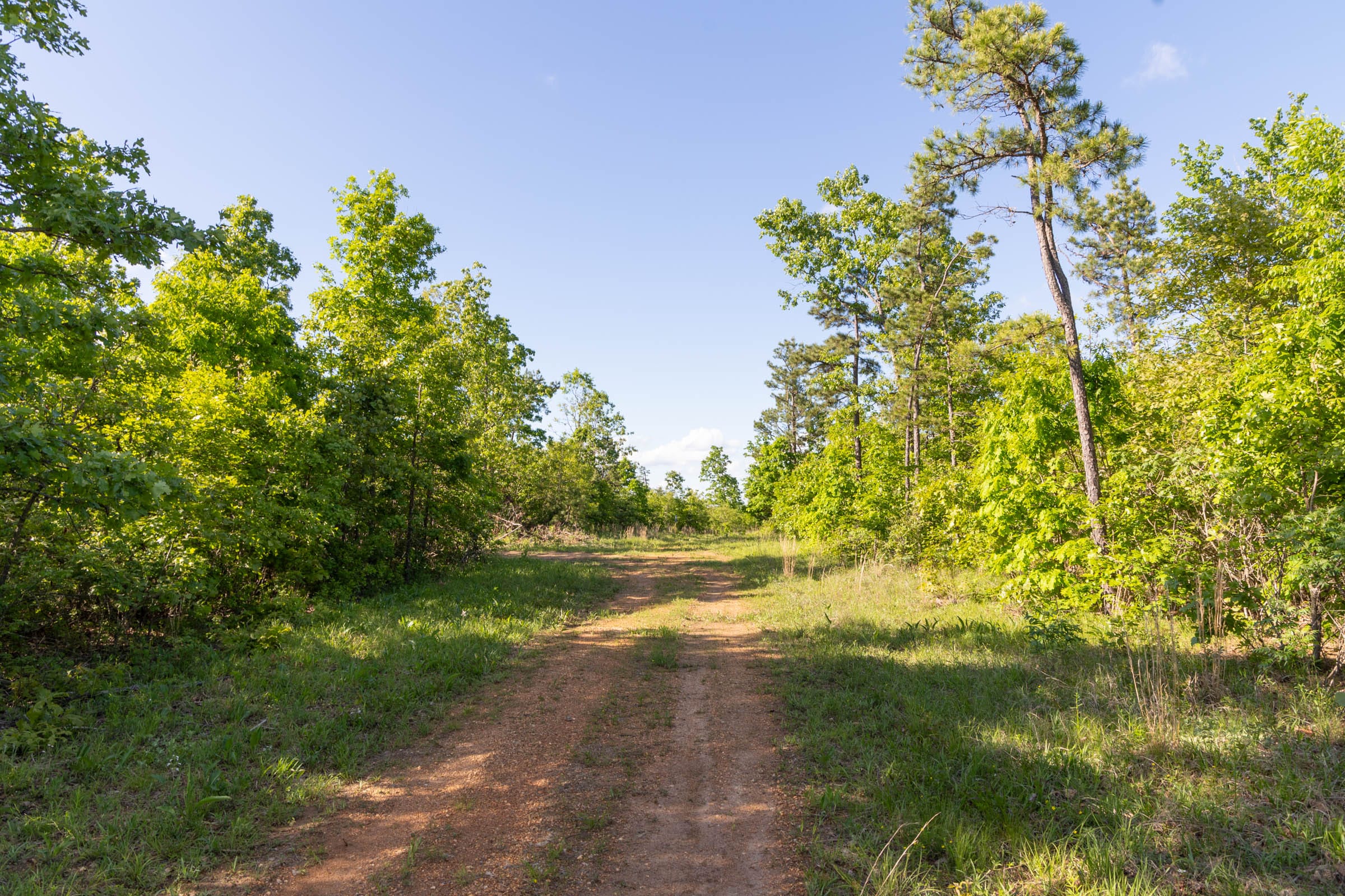 Sleepy Hollow Phase II Tract 61 photo 2