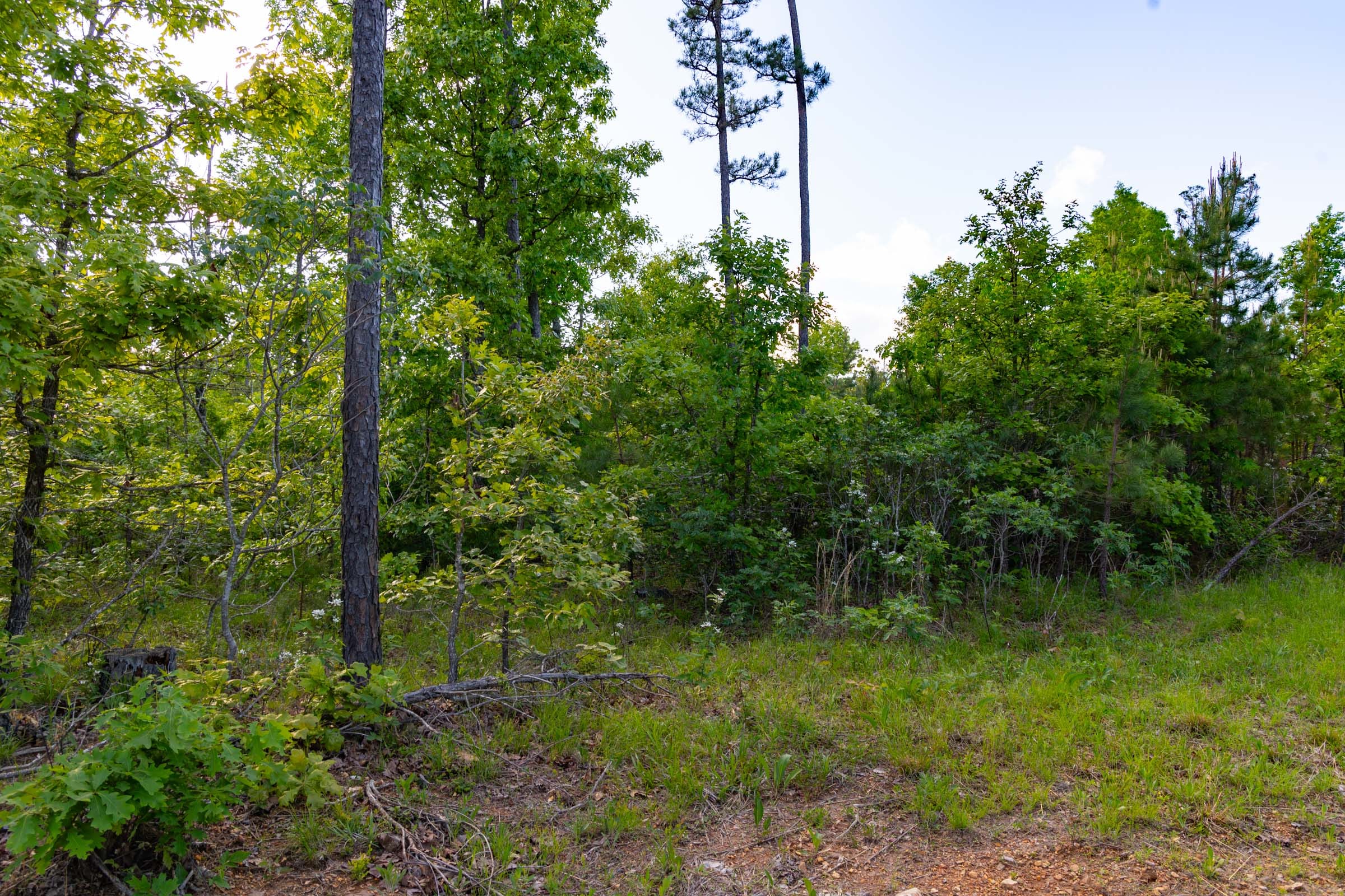 Sleepy Hollow Phase II Tract 60 photo 1