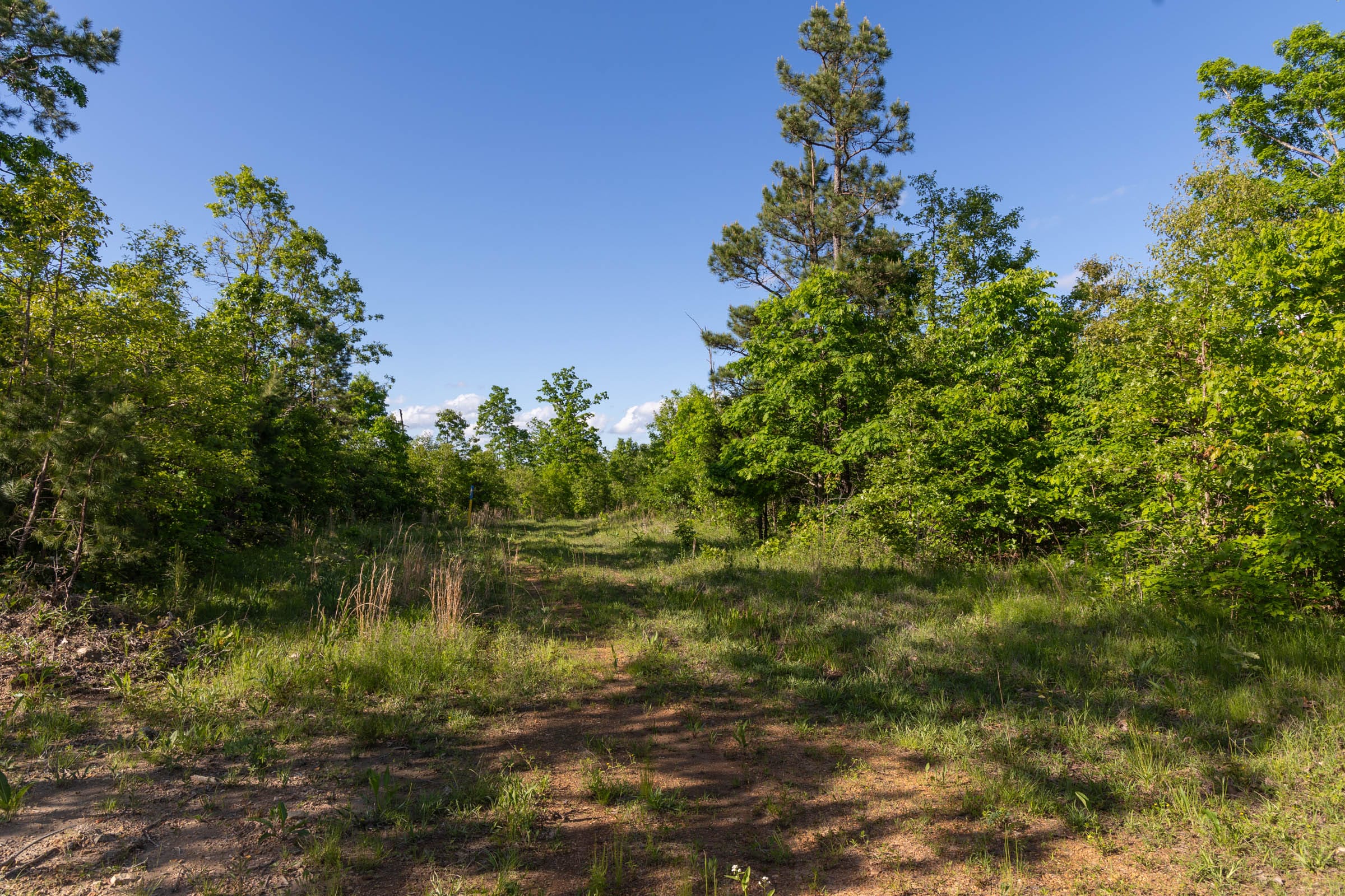 Sleepy Hollow Phase II Tract 61 photo 1