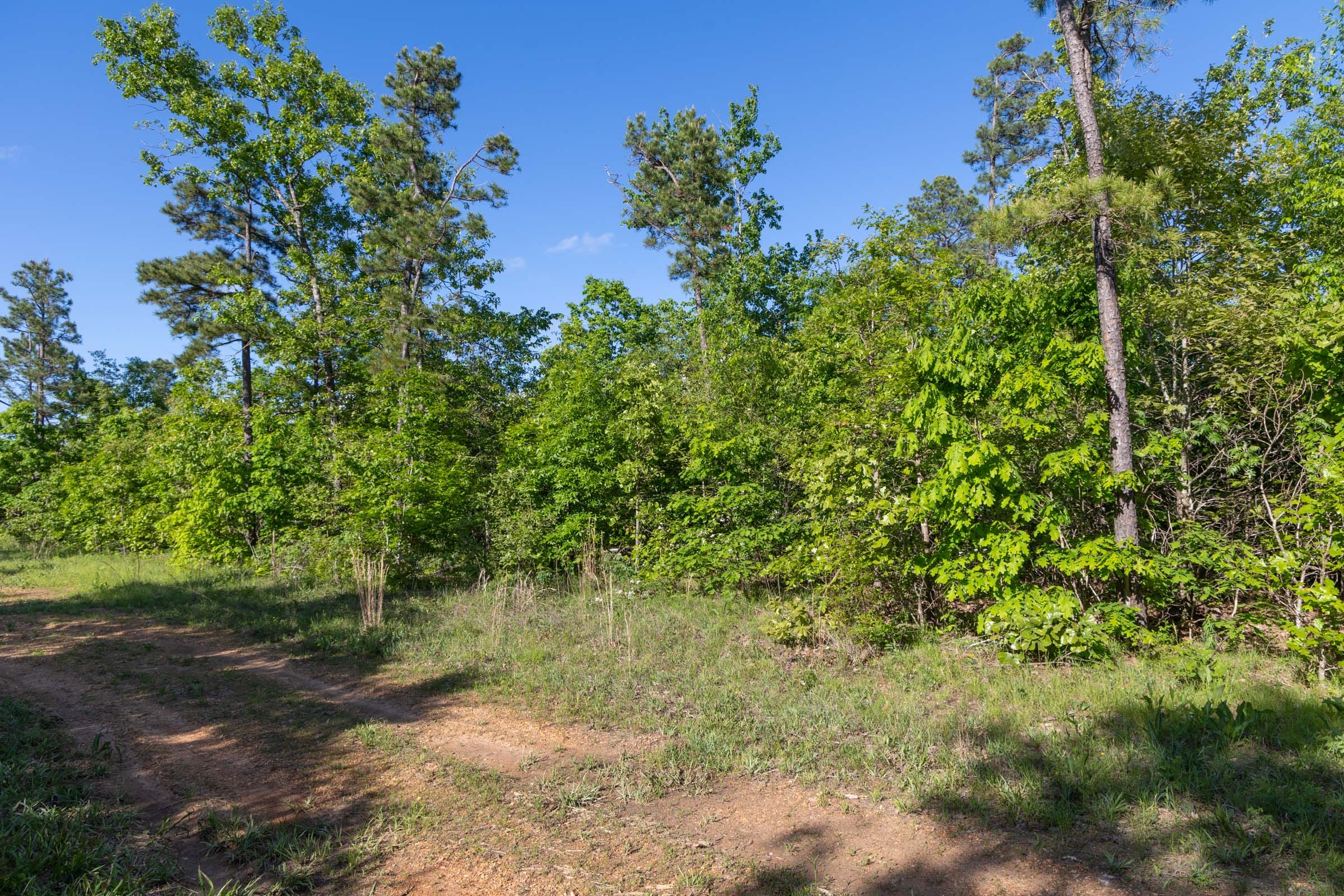 Sleepy Hollow Phase II Tract 61 photo 9