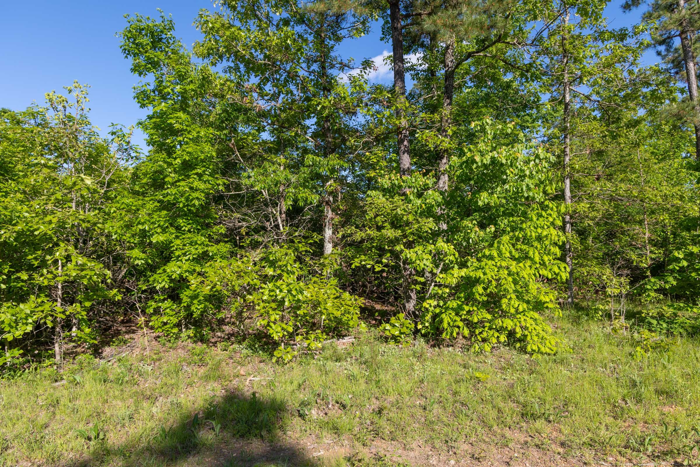 Sleepy Hollow Phase II Tract 60 photo 6