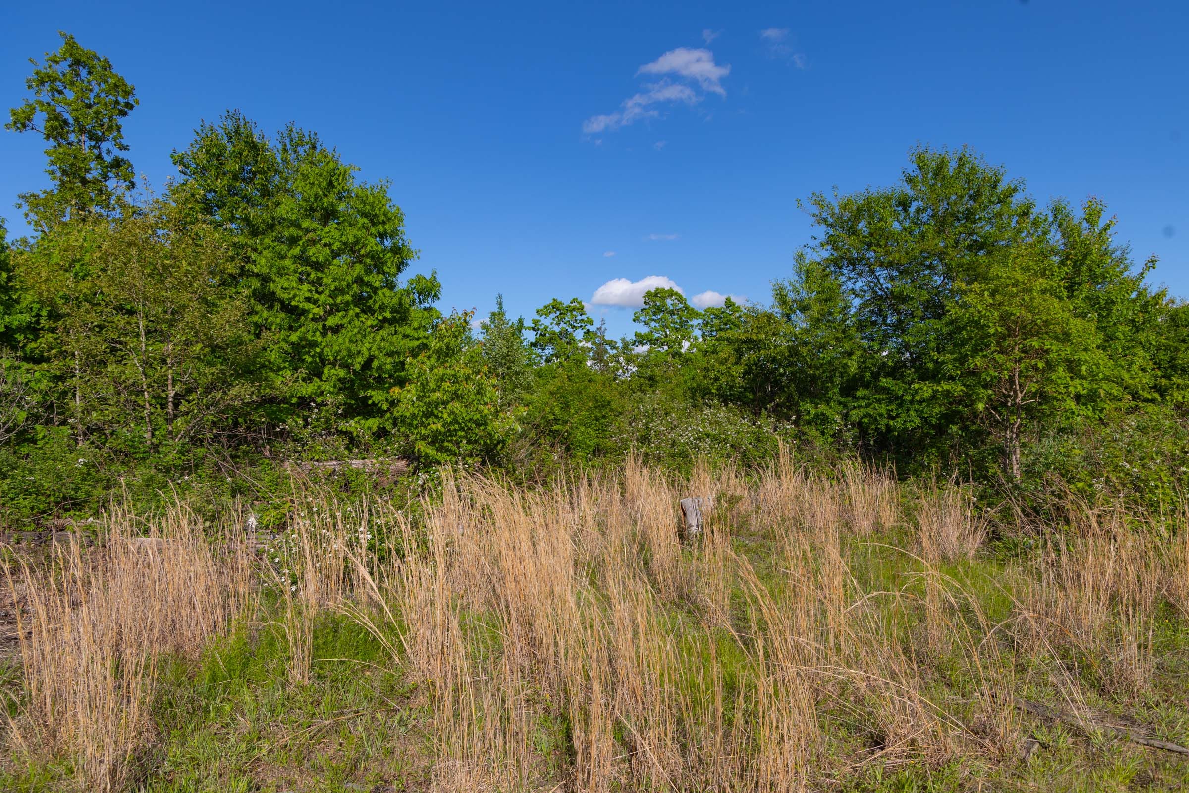Sleepy Hollow Phase II Tract 61 photo 6
