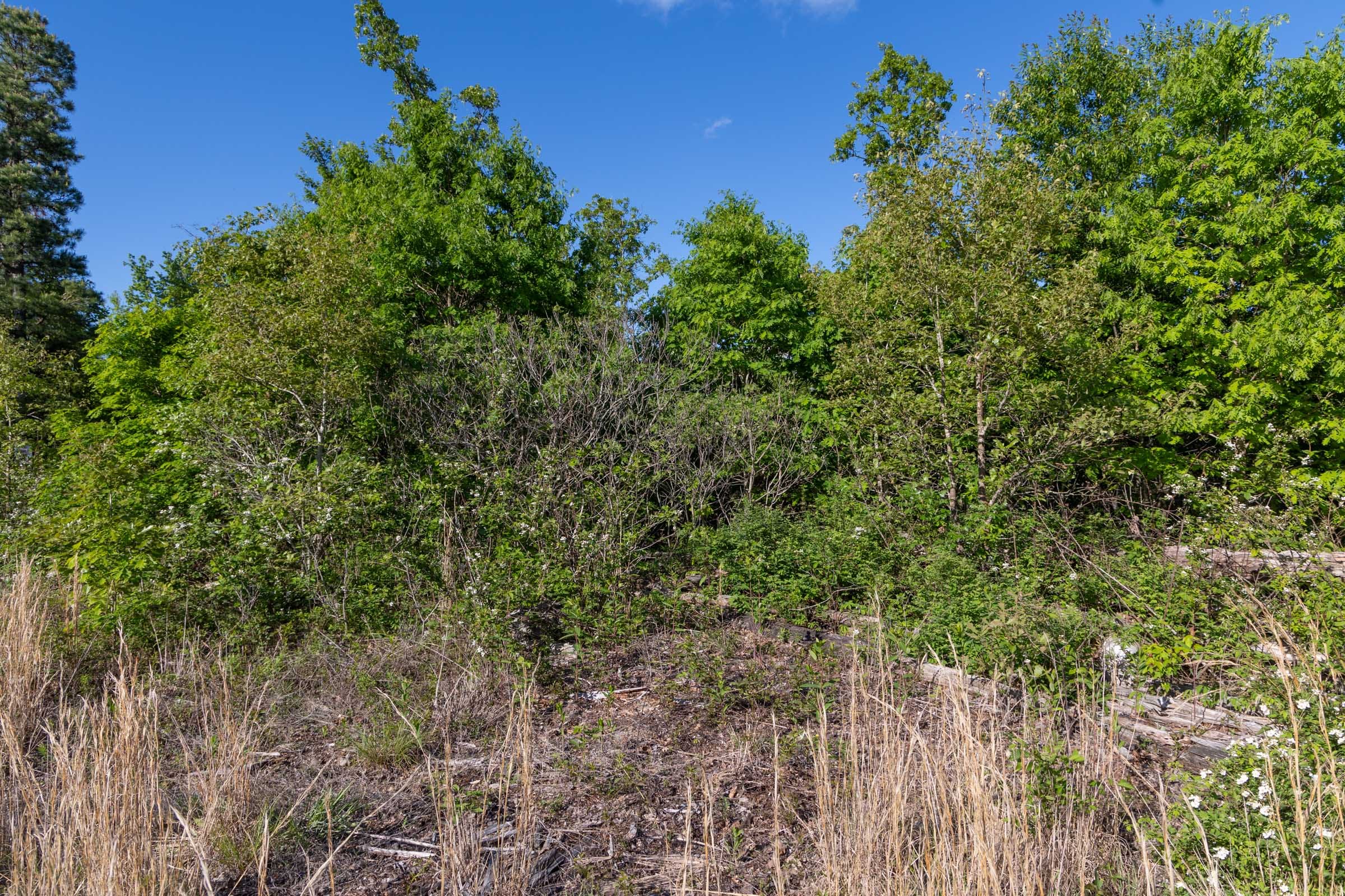 Sleepy Hollow Phase II Tract 61 photo 12