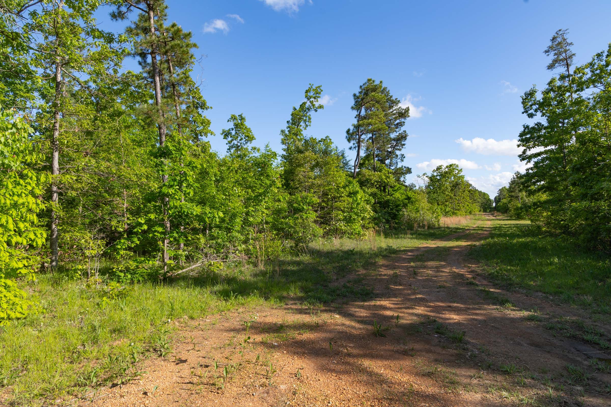 Sleepy Hollow Phase II Tract 61 photo 5