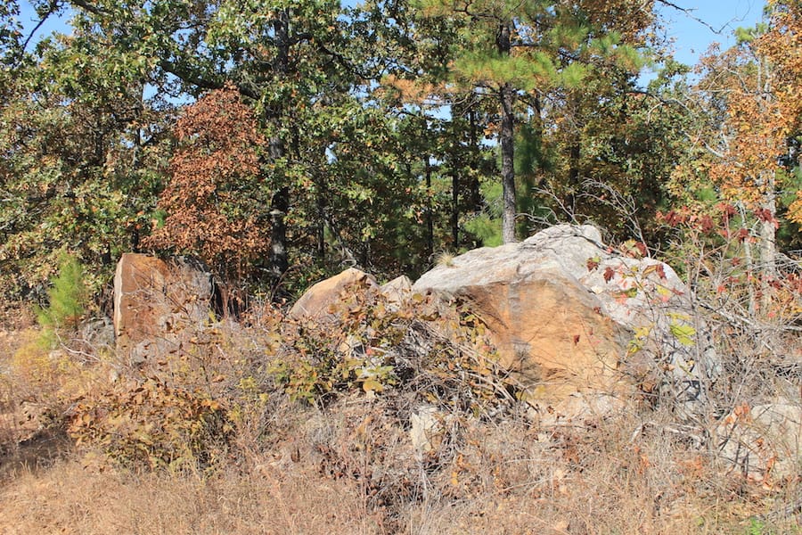 Indian Ridge – Phase III Tract 114 photo 3