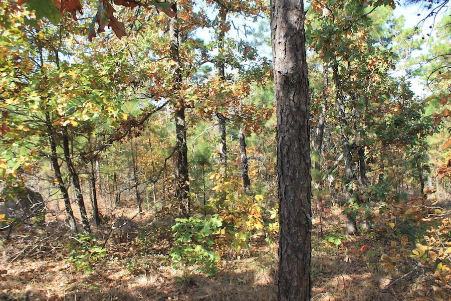 Indian Ridge – Phase III Tract 114 photo 4